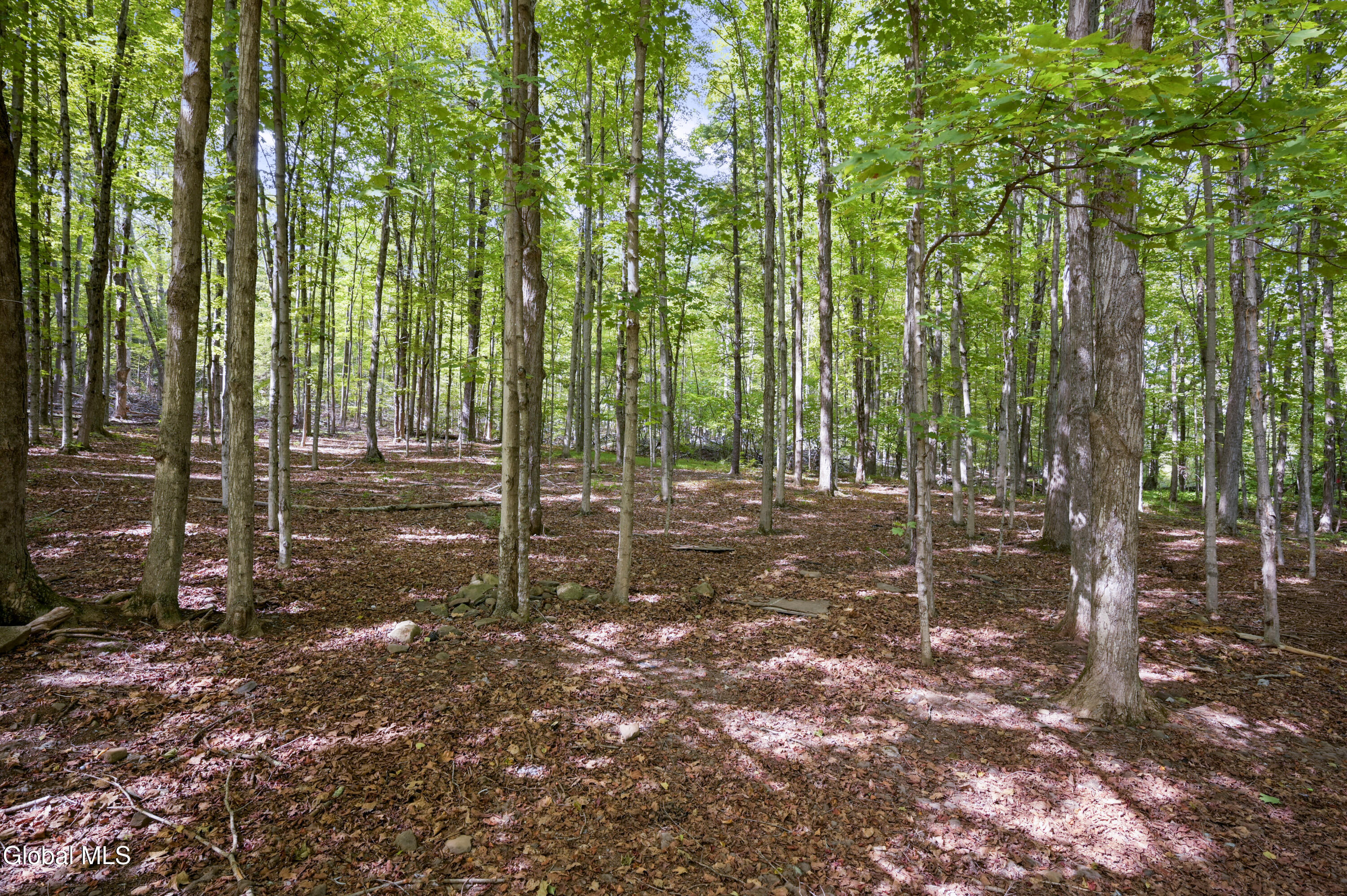 200 Davis Mount Road Oak Hill NY 12469