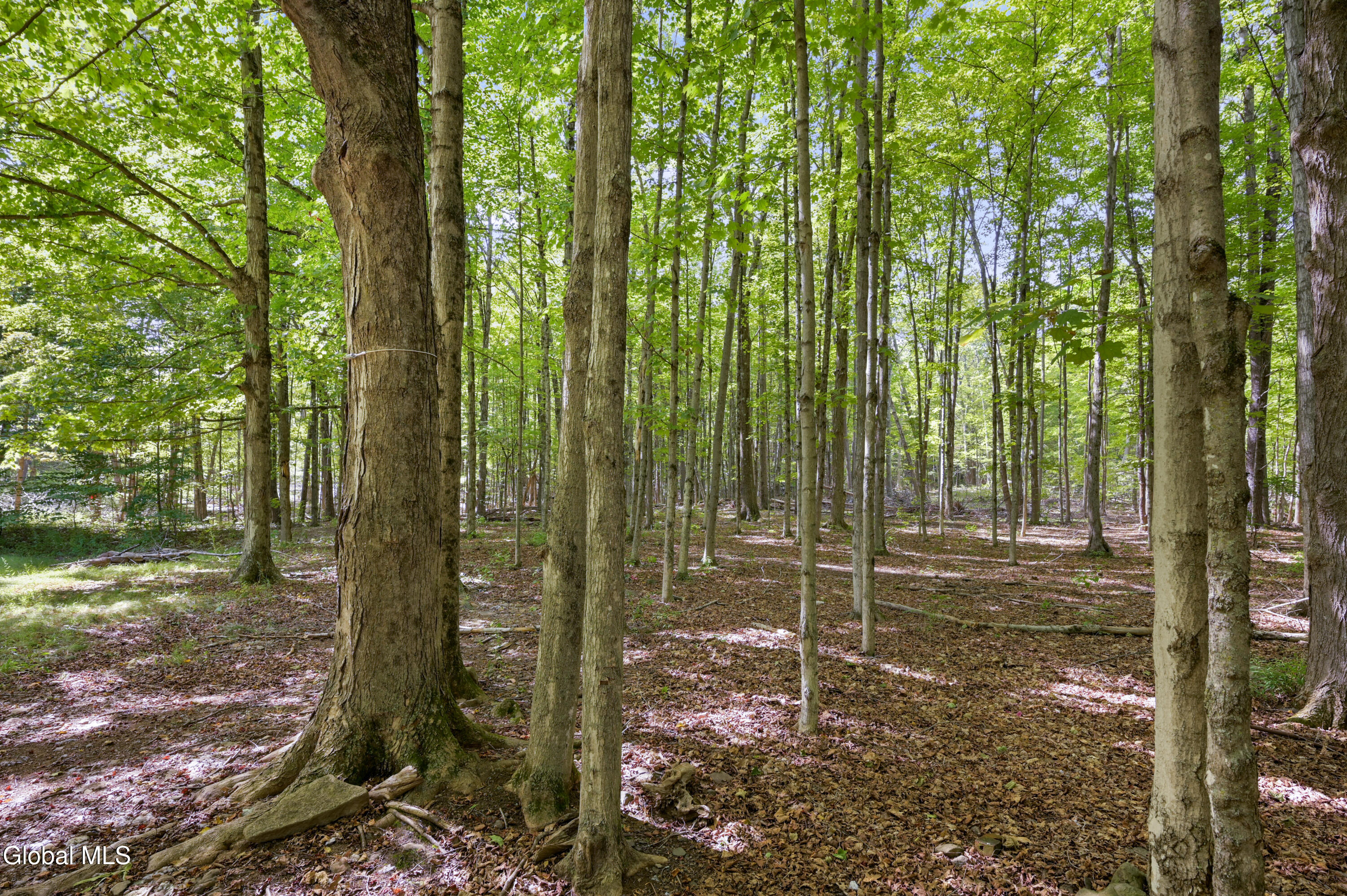 200 Davis Mount Road Oak Hill NY 12469