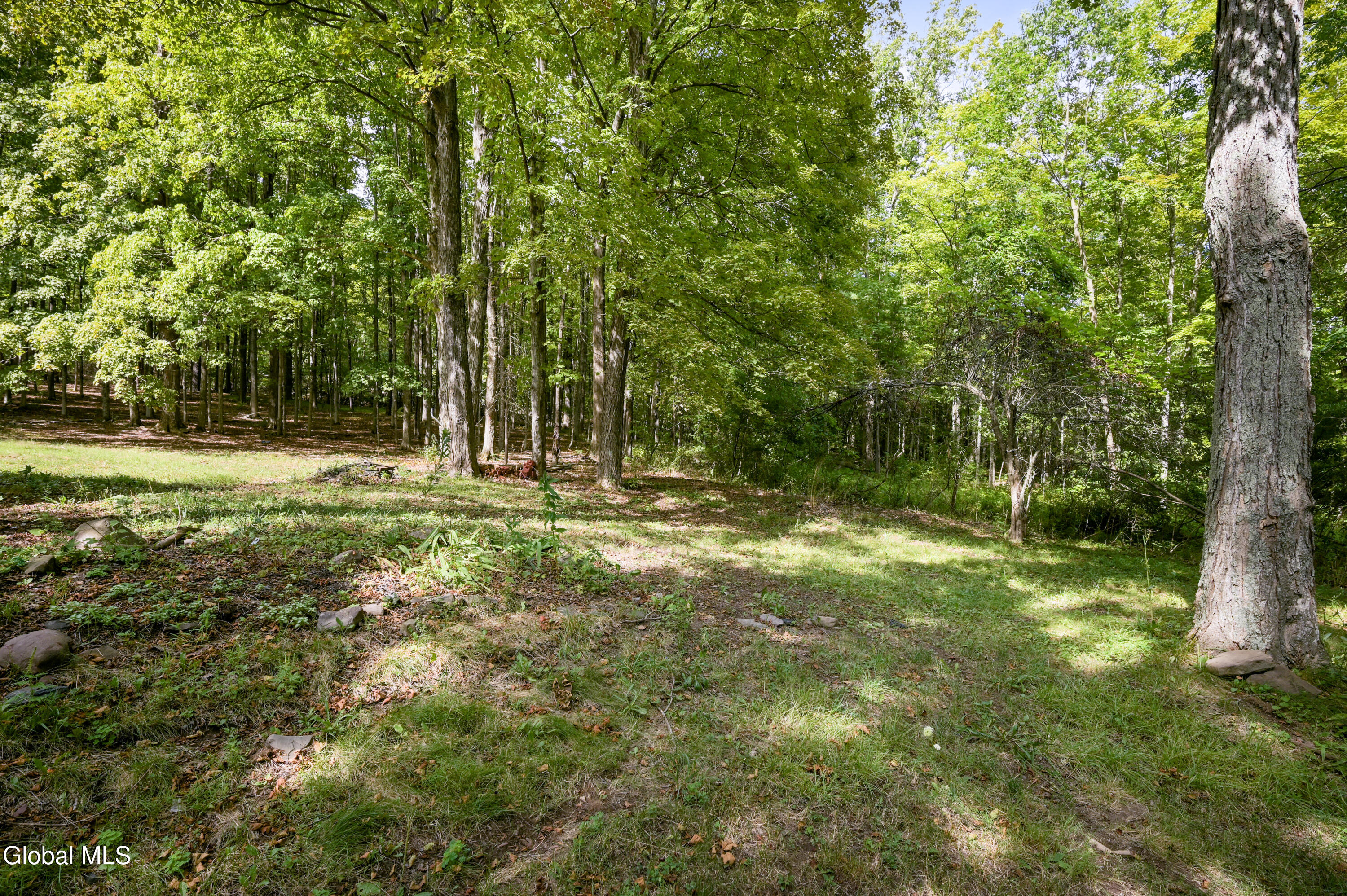 200 Davis Mount Road Oak Hill NY 12469