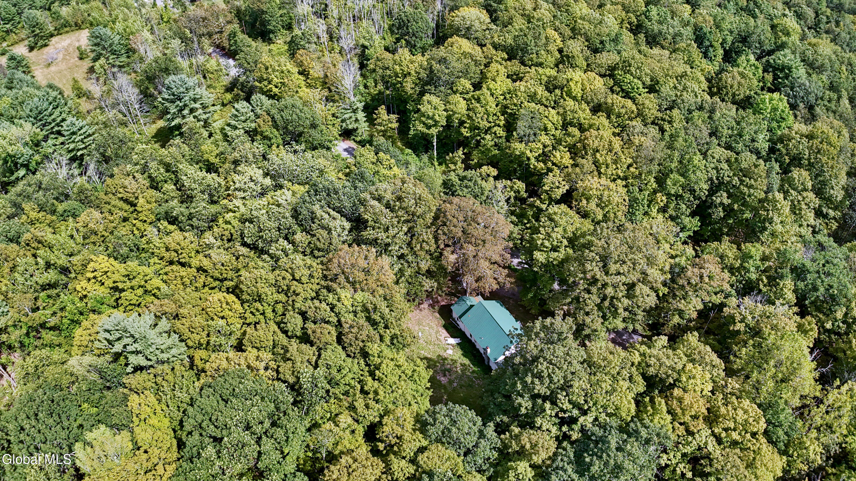 200 Davis Mount Road Oak Hill NY 12469