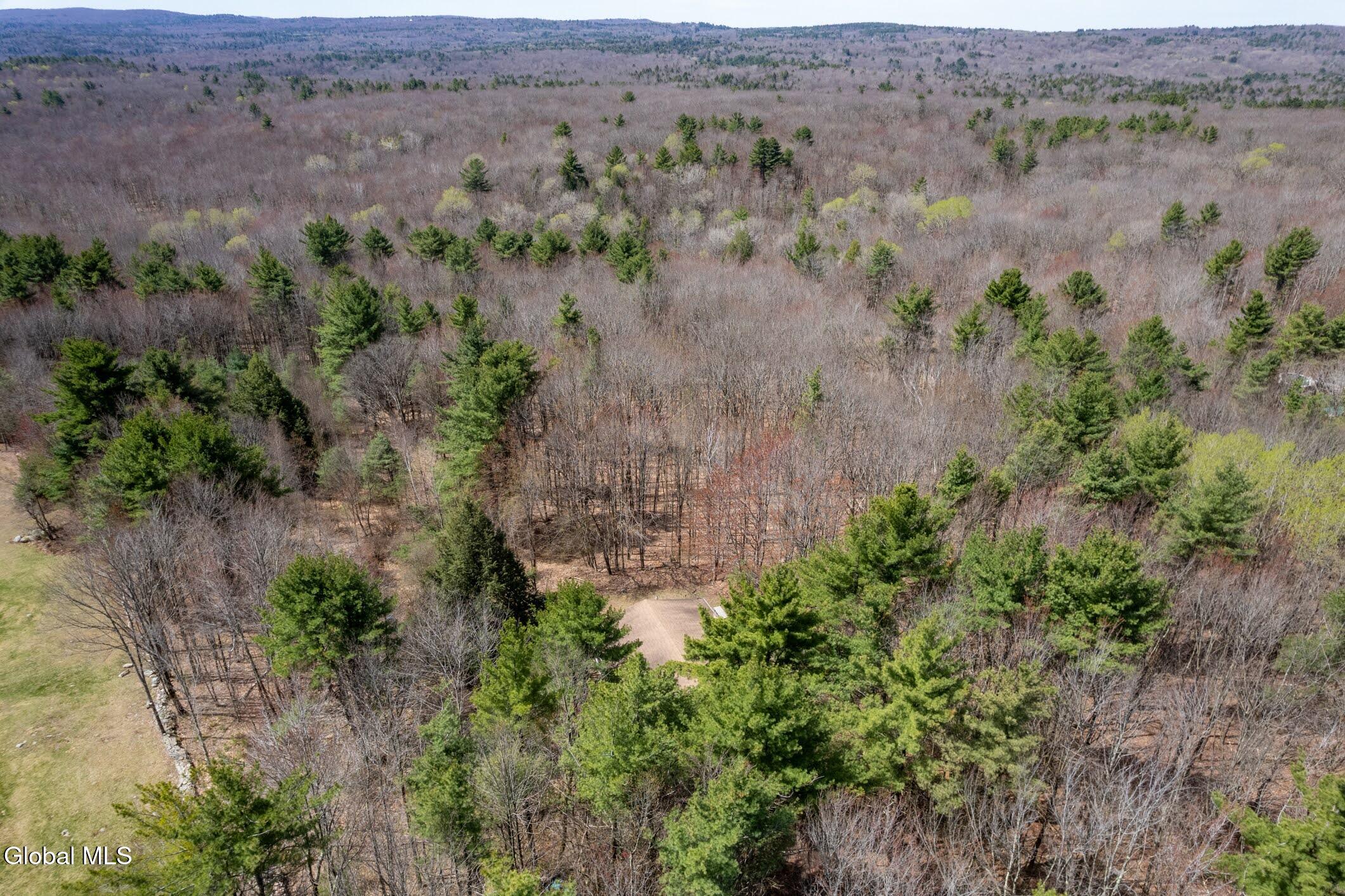 421 Potter Hill Road Petersburgh NY 12138