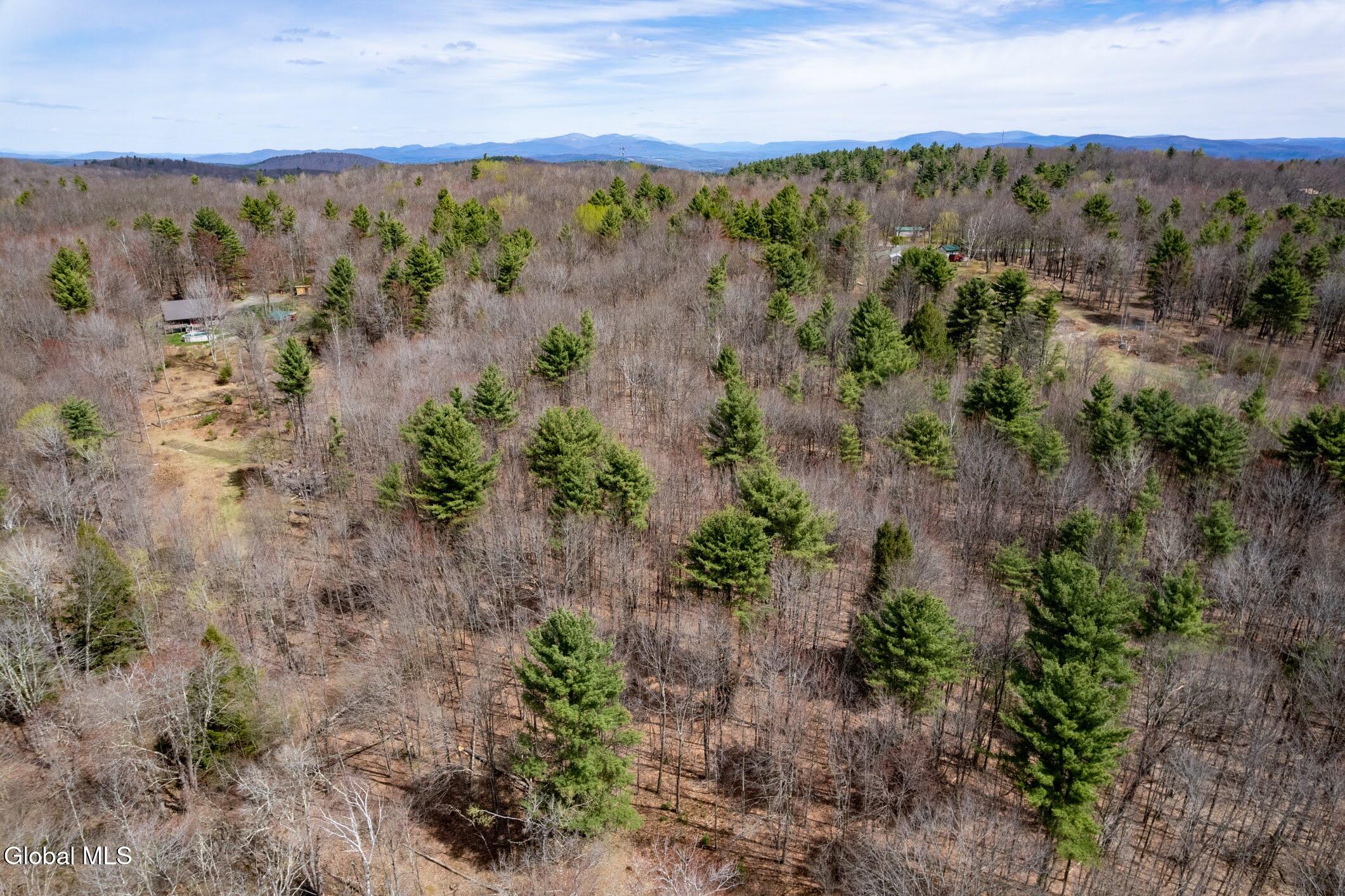 421 Potter Hill Road Petersburgh NY 12138