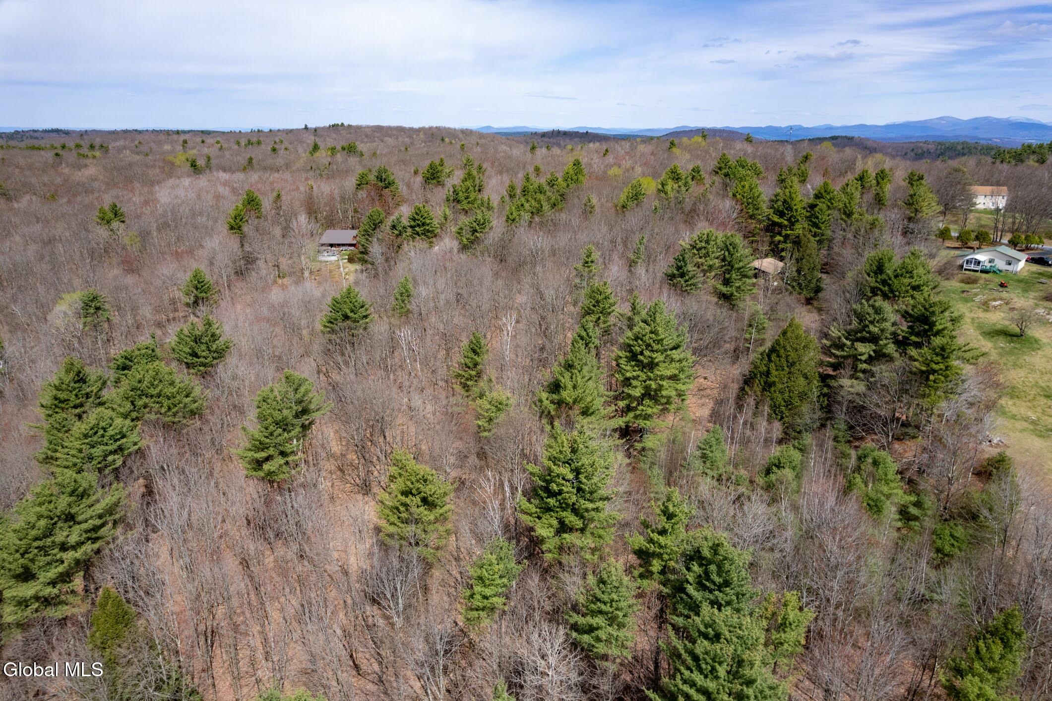 421 Potter Hill Road Petersburgh NY 12138