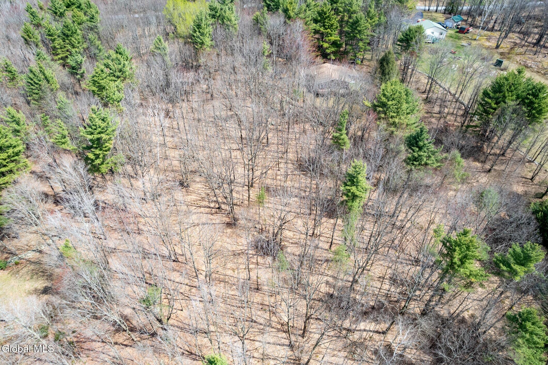 421 Potter Hill Road Petersburgh NY 12138