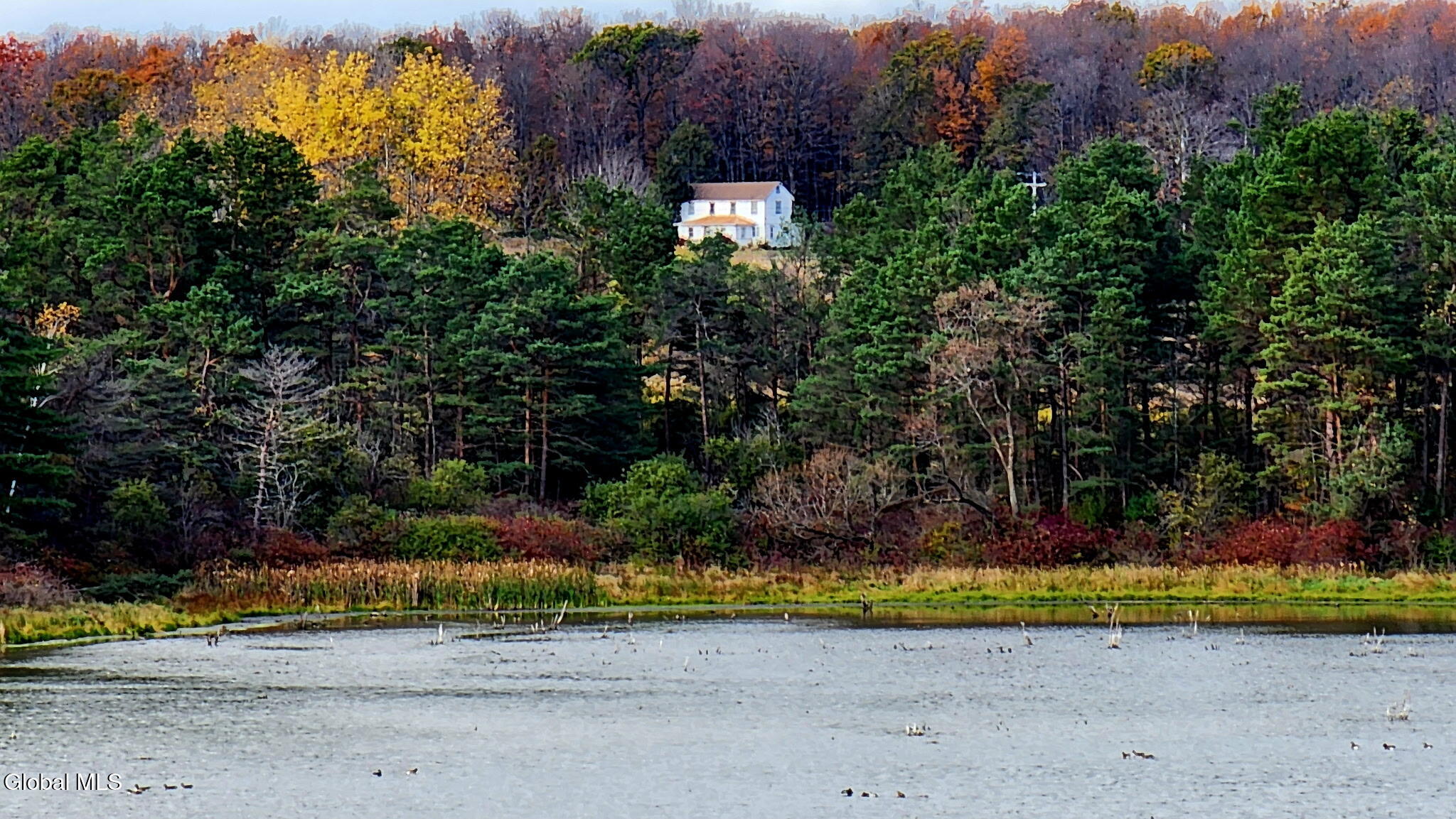 2071 Highway Route 20 Cobleskill NY 12043