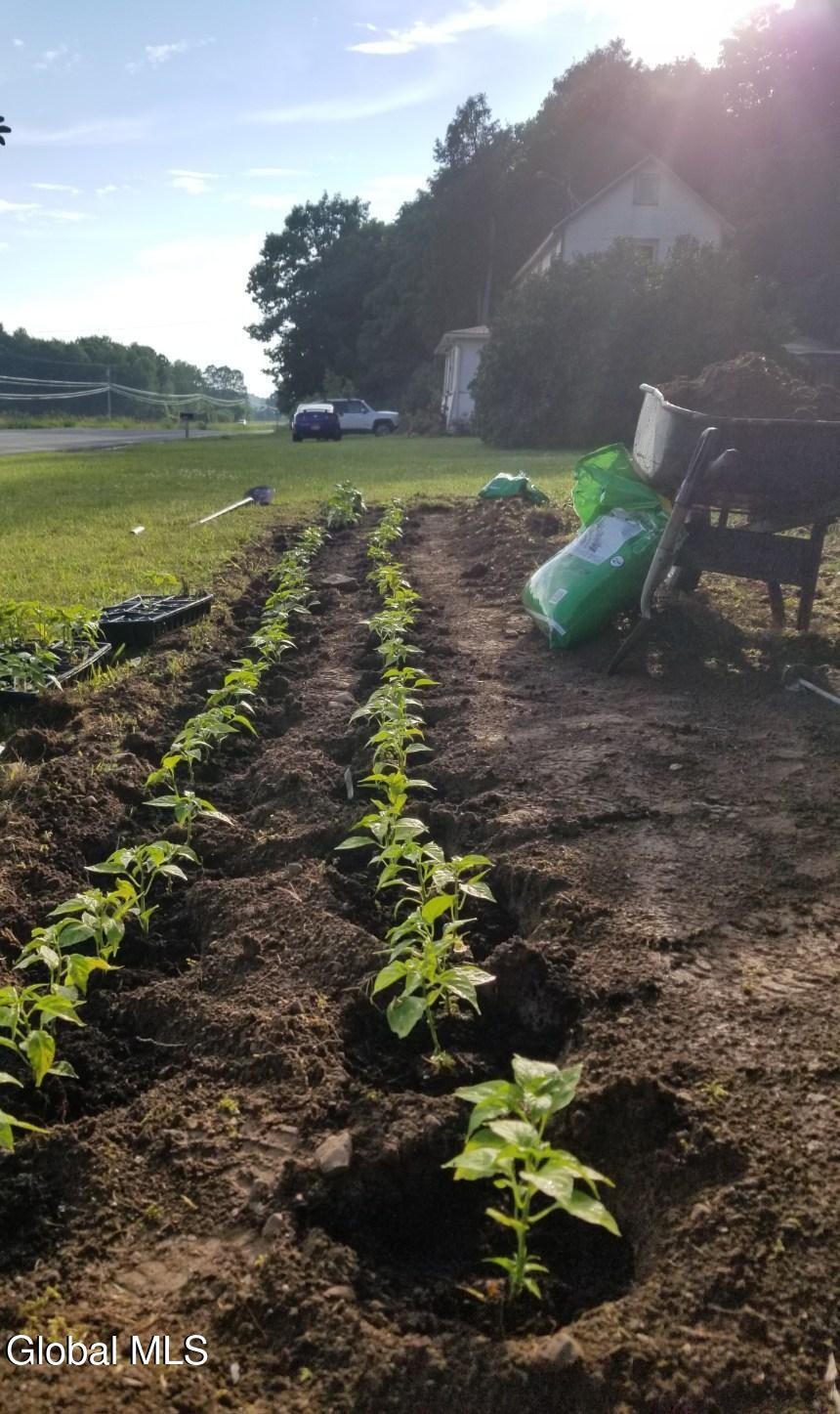 2071 Highway Route 20 Cobleskill NY 12043