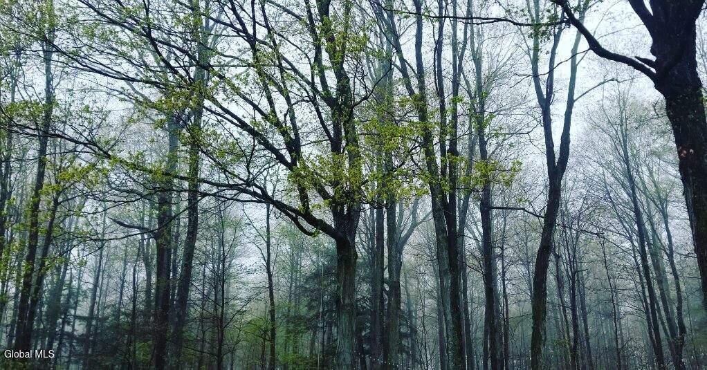 2071 Highway Route 20 Cobleskill NY 12043