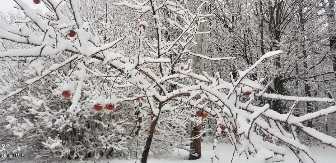 2071 Highway Route 20 Cobleskill NY 12043