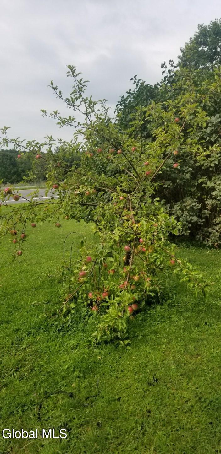 2071 Highway Route 20 Cobleskill NY 12043