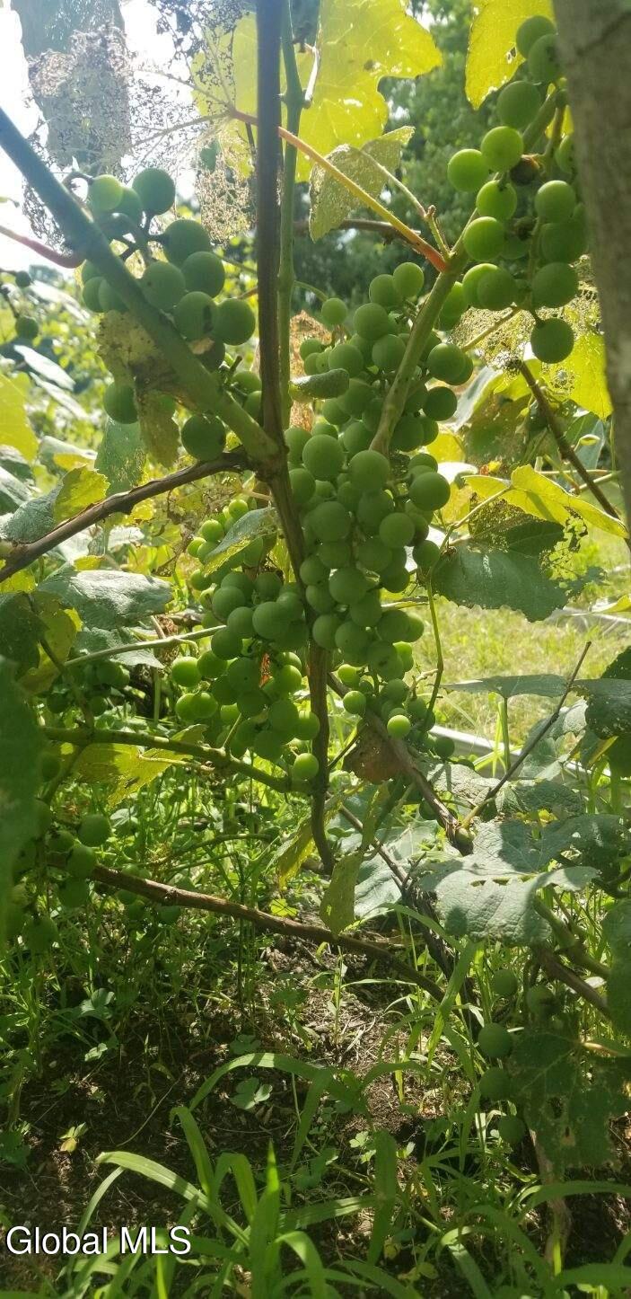 2071 Highway Route 20 Cobleskill NY 12043