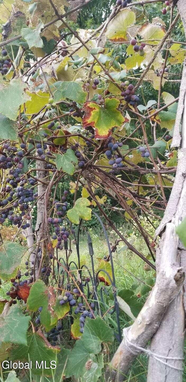 2071 Highway Route 20 Cobleskill NY 12043