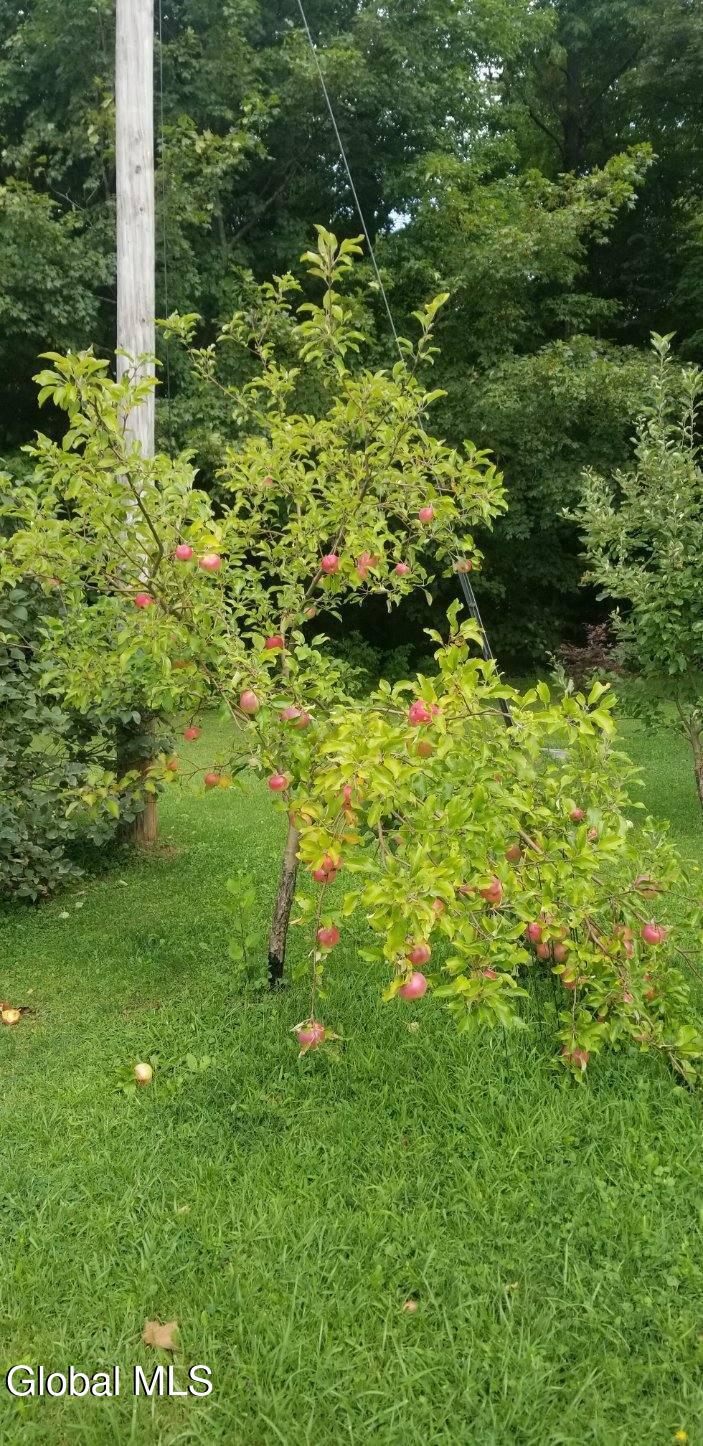 2071 Highway Route 20 Cobleskill NY 12043