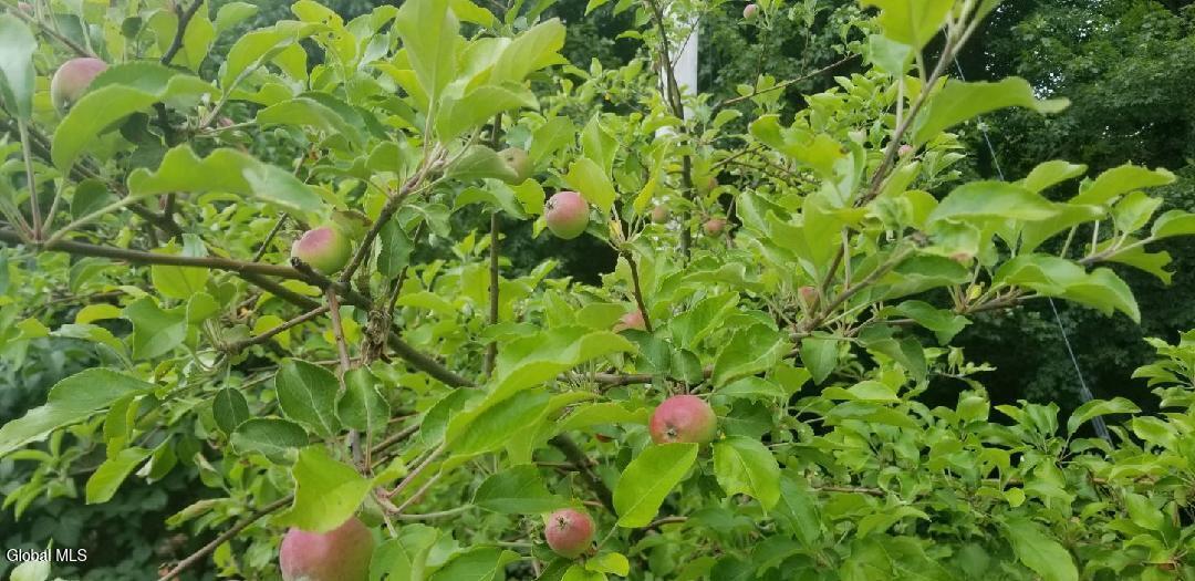 2071 Highway Route 20 Cobleskill NY 12043