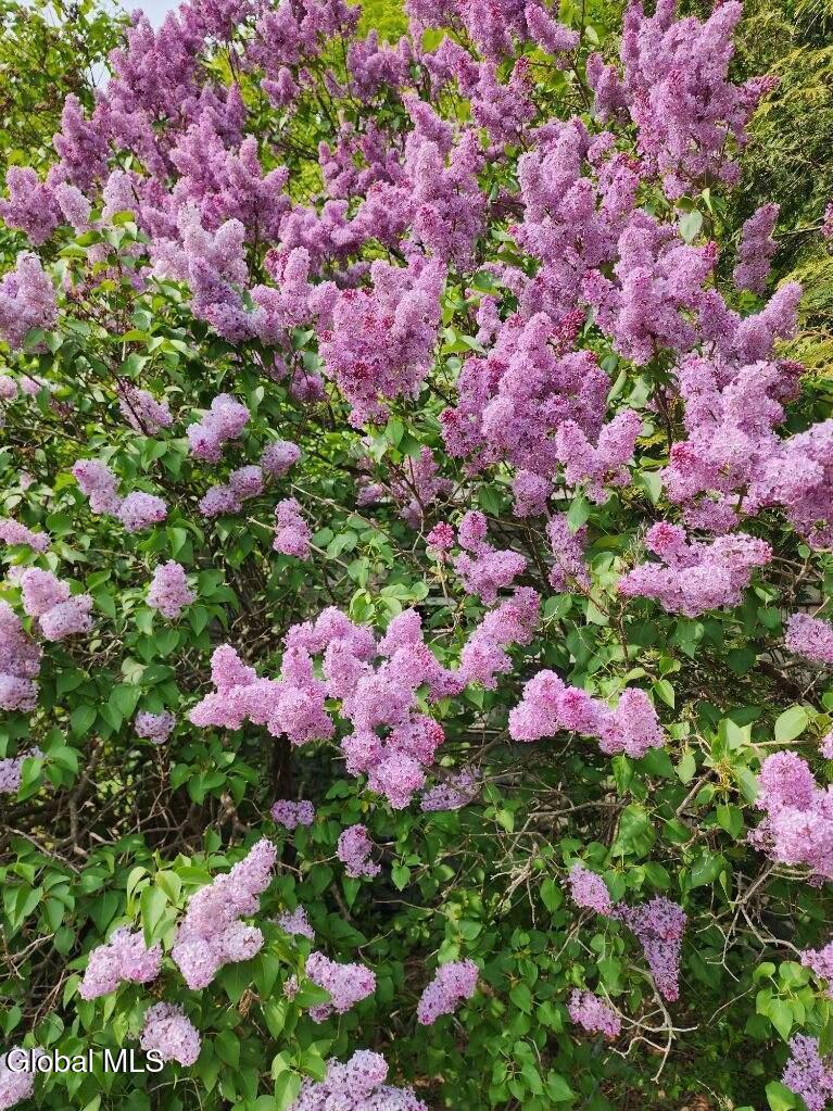 2071 Highway Route 20 Cobleskill NY 12043