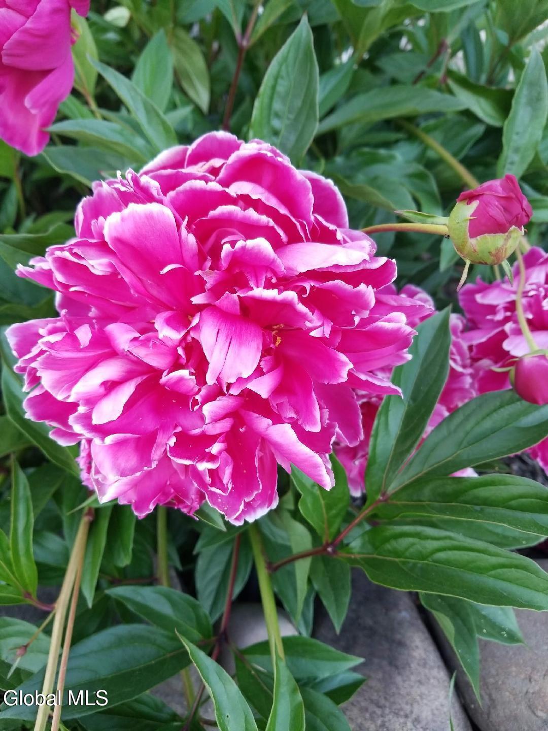 2071 Highway Route 20 Cobleskill NY 12043