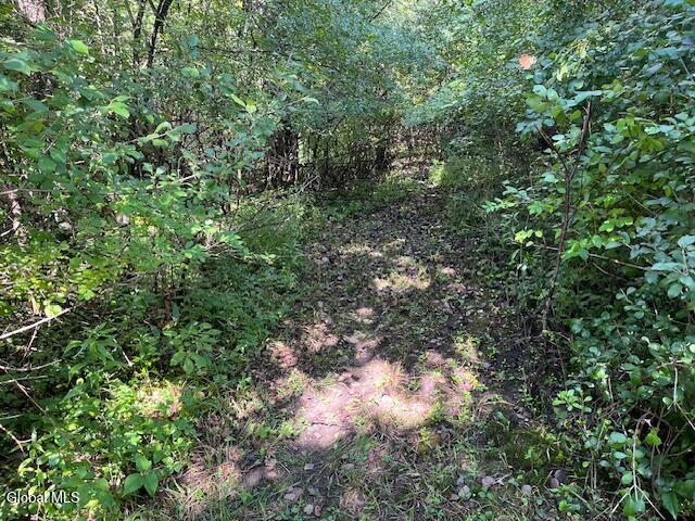 355 Burtonville Road Fultonville NY 12072