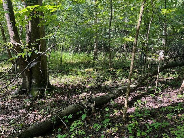 355 Burtonville Road Fultonville NY 12072