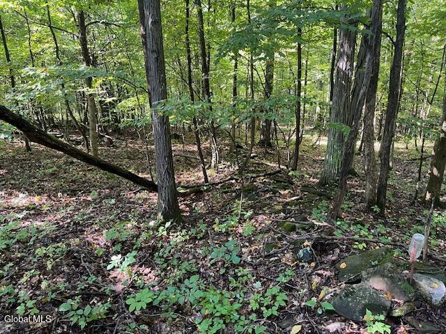 355 Burtonville Road Fultonville NY 12072