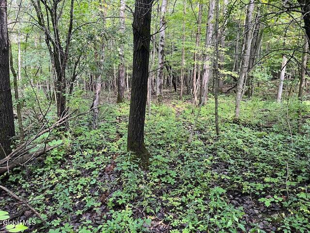 355 Burtonville Road Fultonville NY 12072