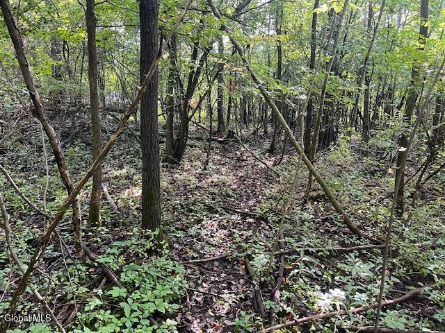 355 Burtonville Road Fultonville NY 12072