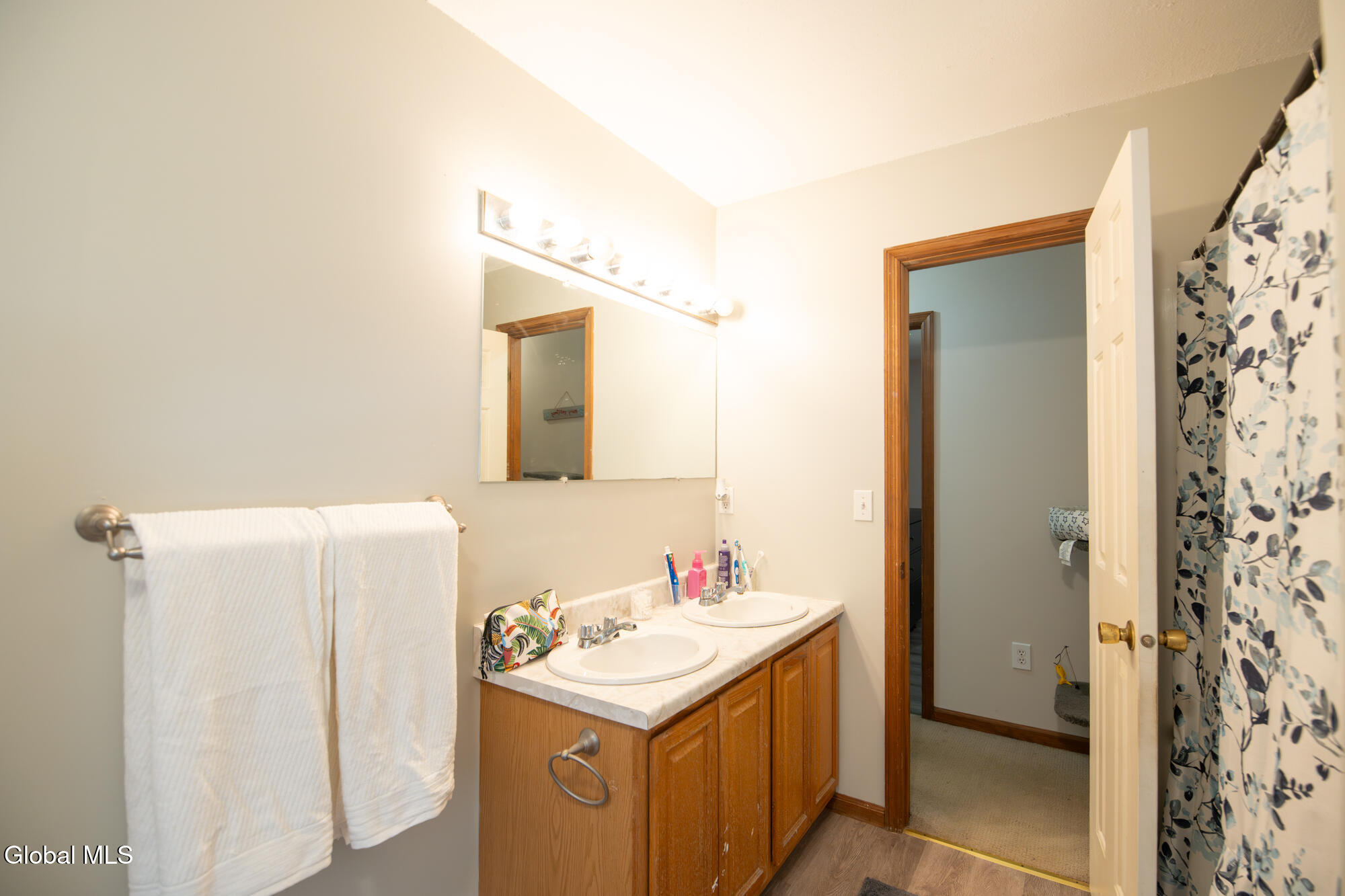 22 Snowberry Lane Gansevoort NY 12831