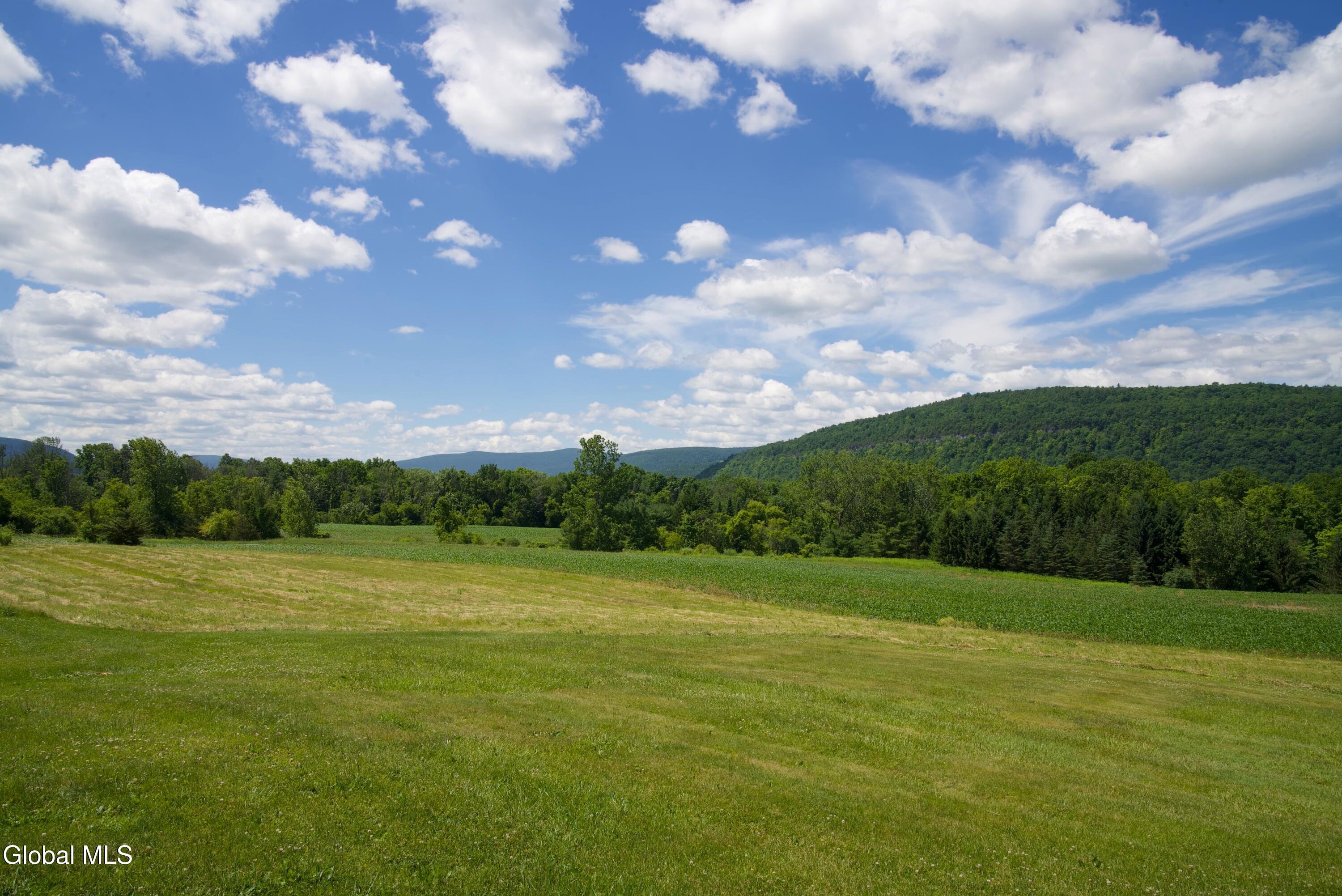 5729 State Route 30 Schoharie NY 12157