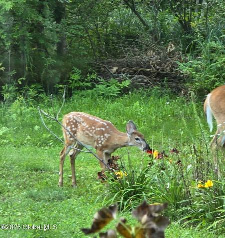 2085 Weast Road Pattersonville NY 12137