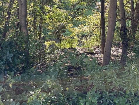 1713 Thacher Park Road East Berne NY 12059