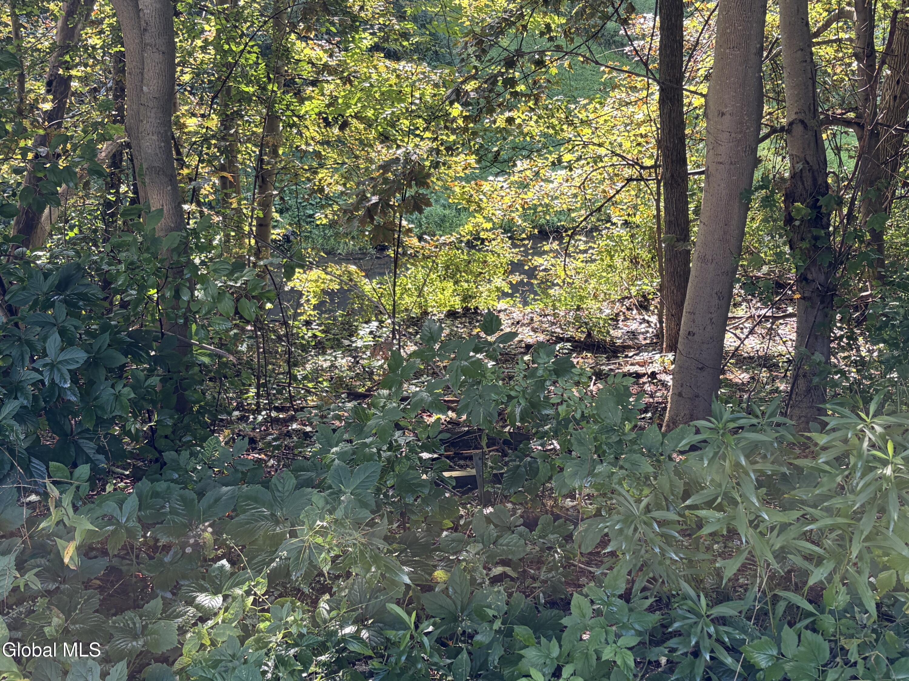 1713 Thacher Park Road East Berne NY 12059