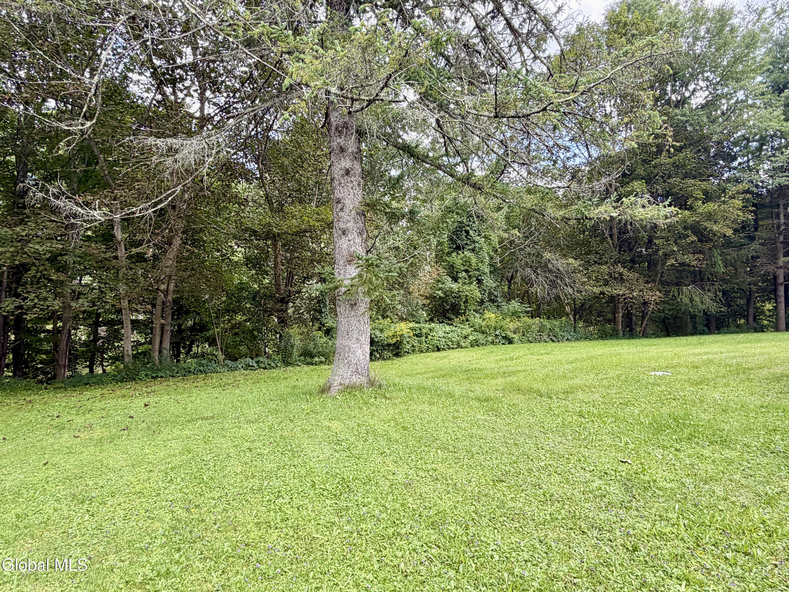 1713 Thacher Park Road East Berne NY 12059