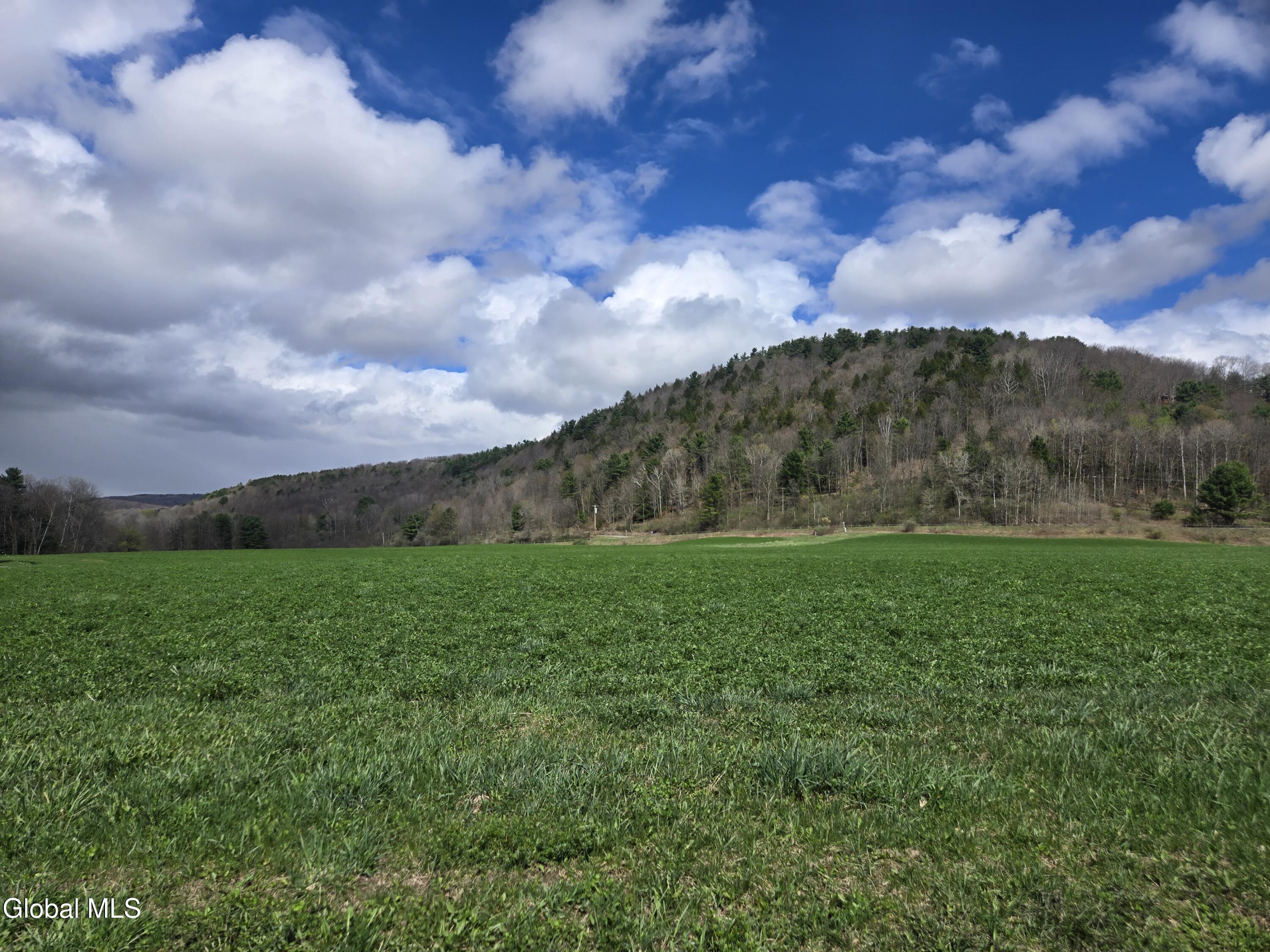 378 New York 165 Roseboom NY 13450