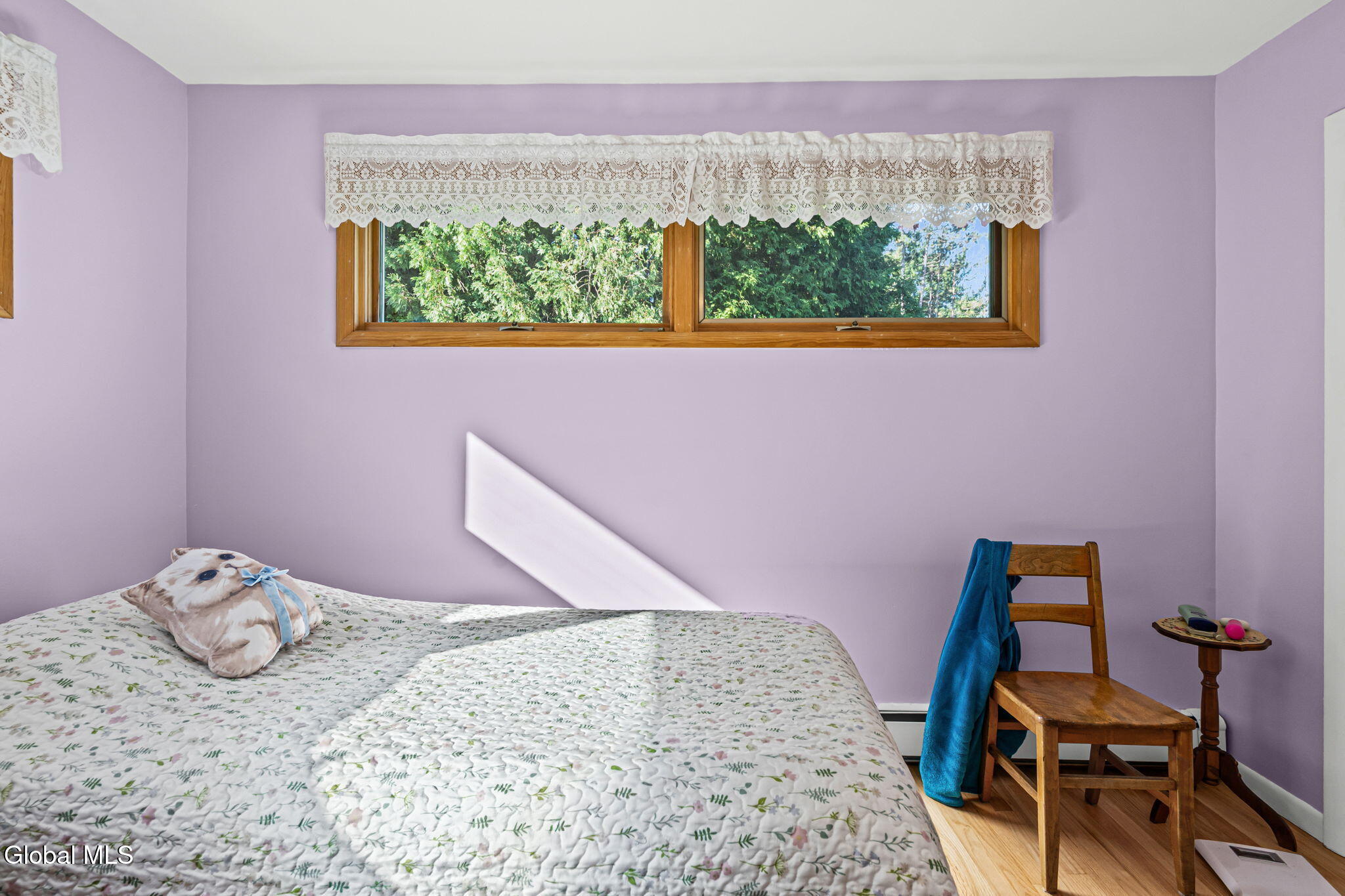17 Dawn Drive Glenville NY 12302