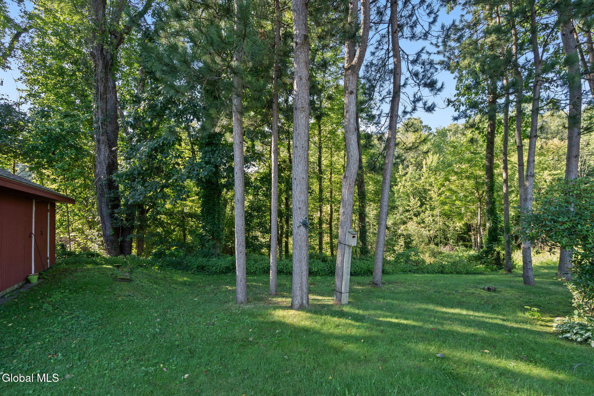 17 Dawn Drive Glenville NY 12302