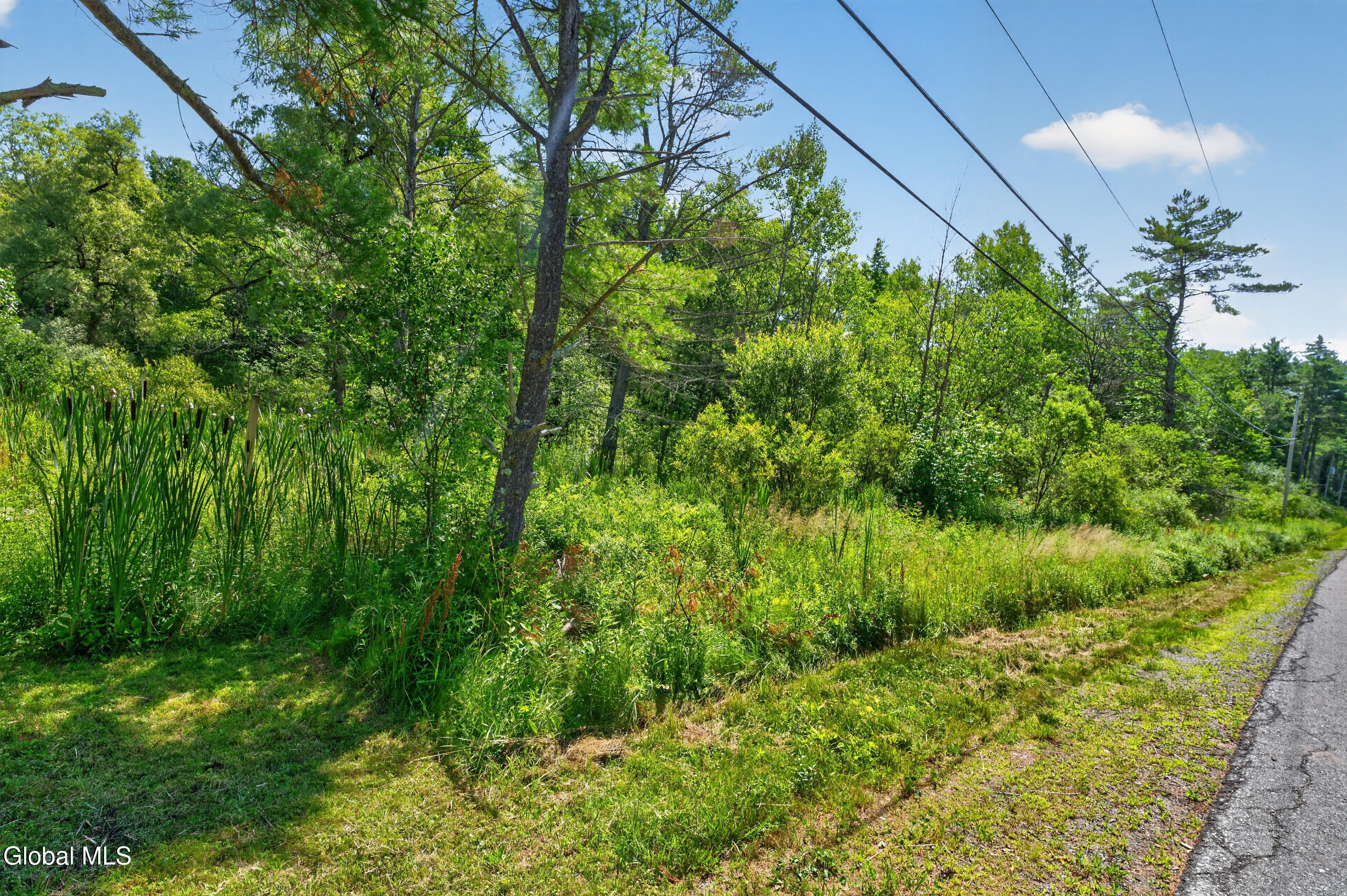 6112 Parkis Mills Road Saratoga NY 12074