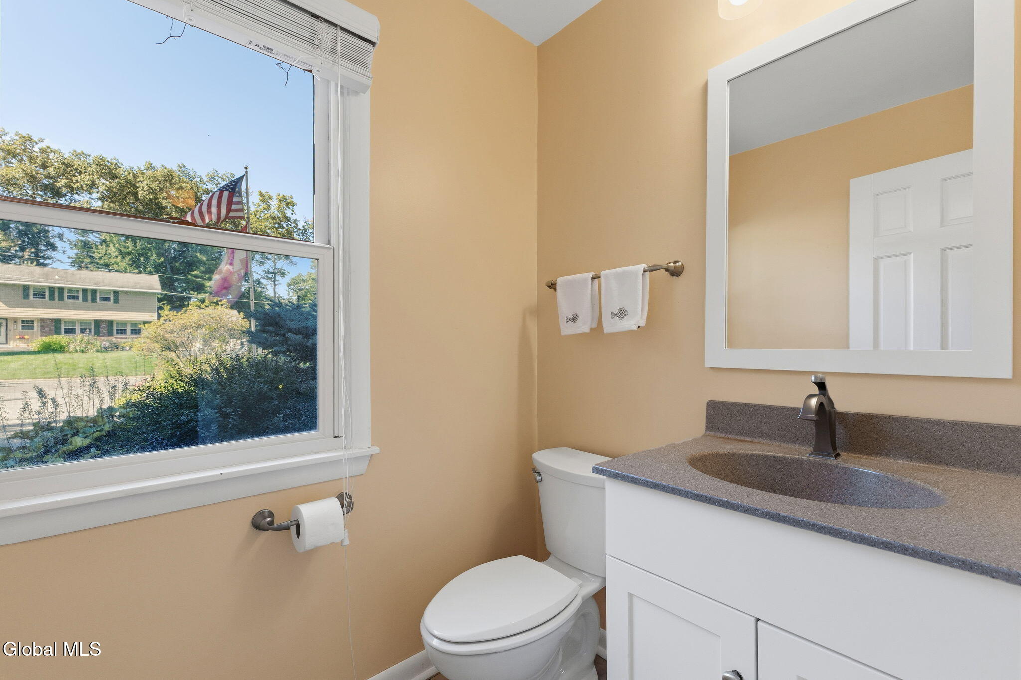 113 Mohawk Drive Schenectady NY 12303