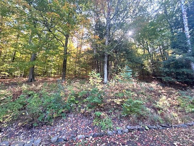 10 Mountain Stream Lane Edinburg NY 12134