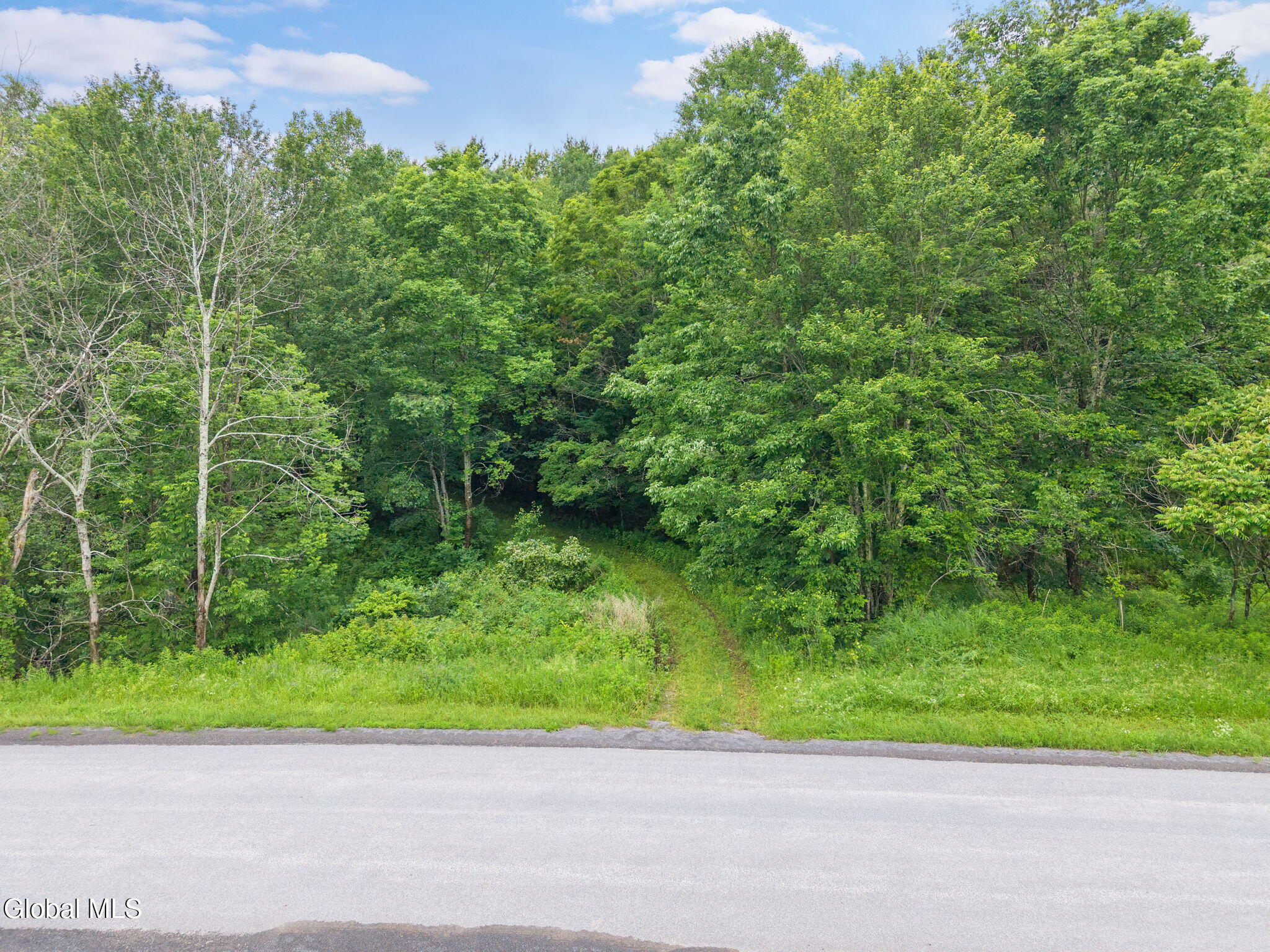 159 Ely Road Gilboa NY 12076