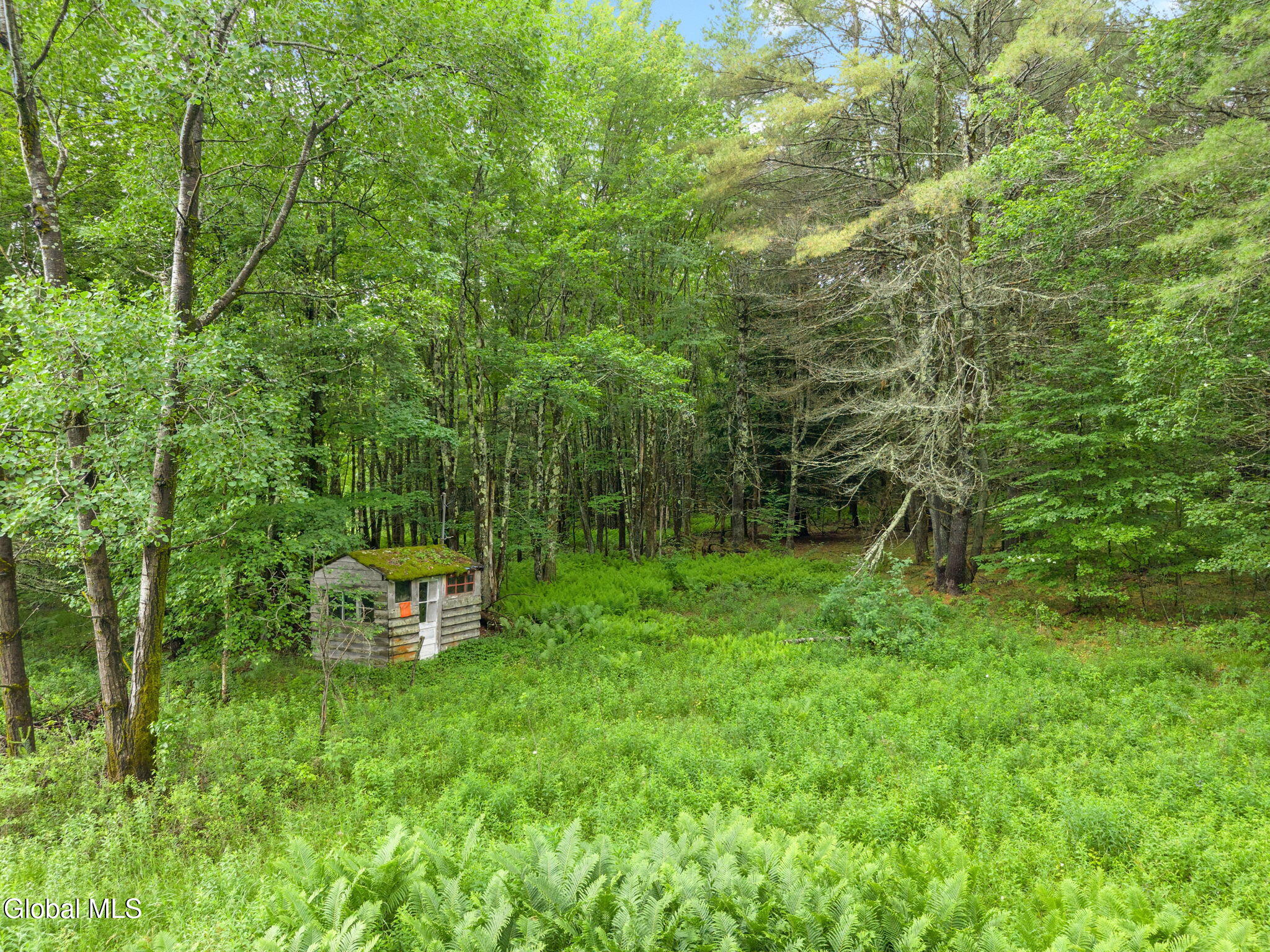 159 Ely Road Gilboa NY 12076