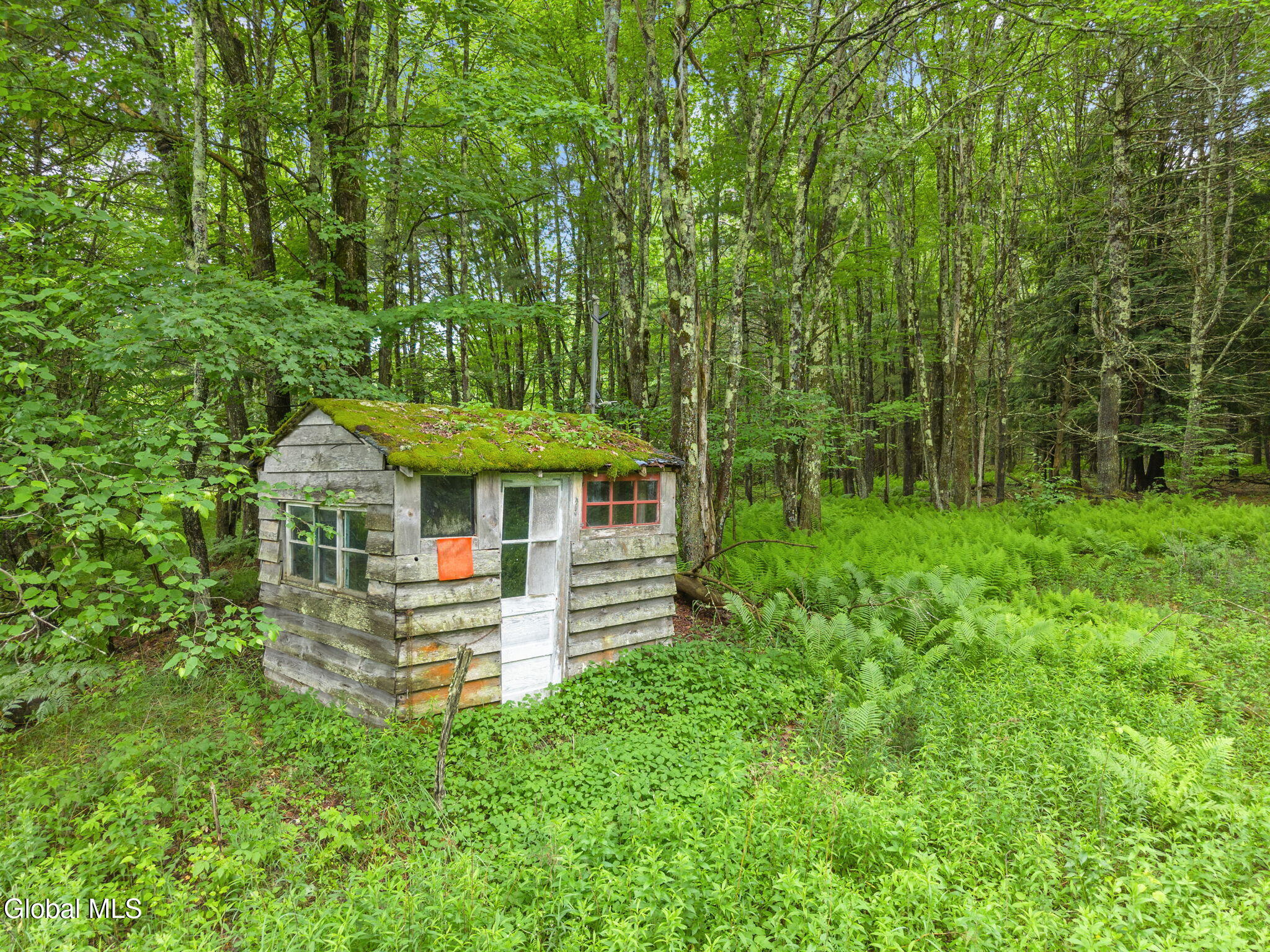 159 Ely Road Gilboa NY 12076