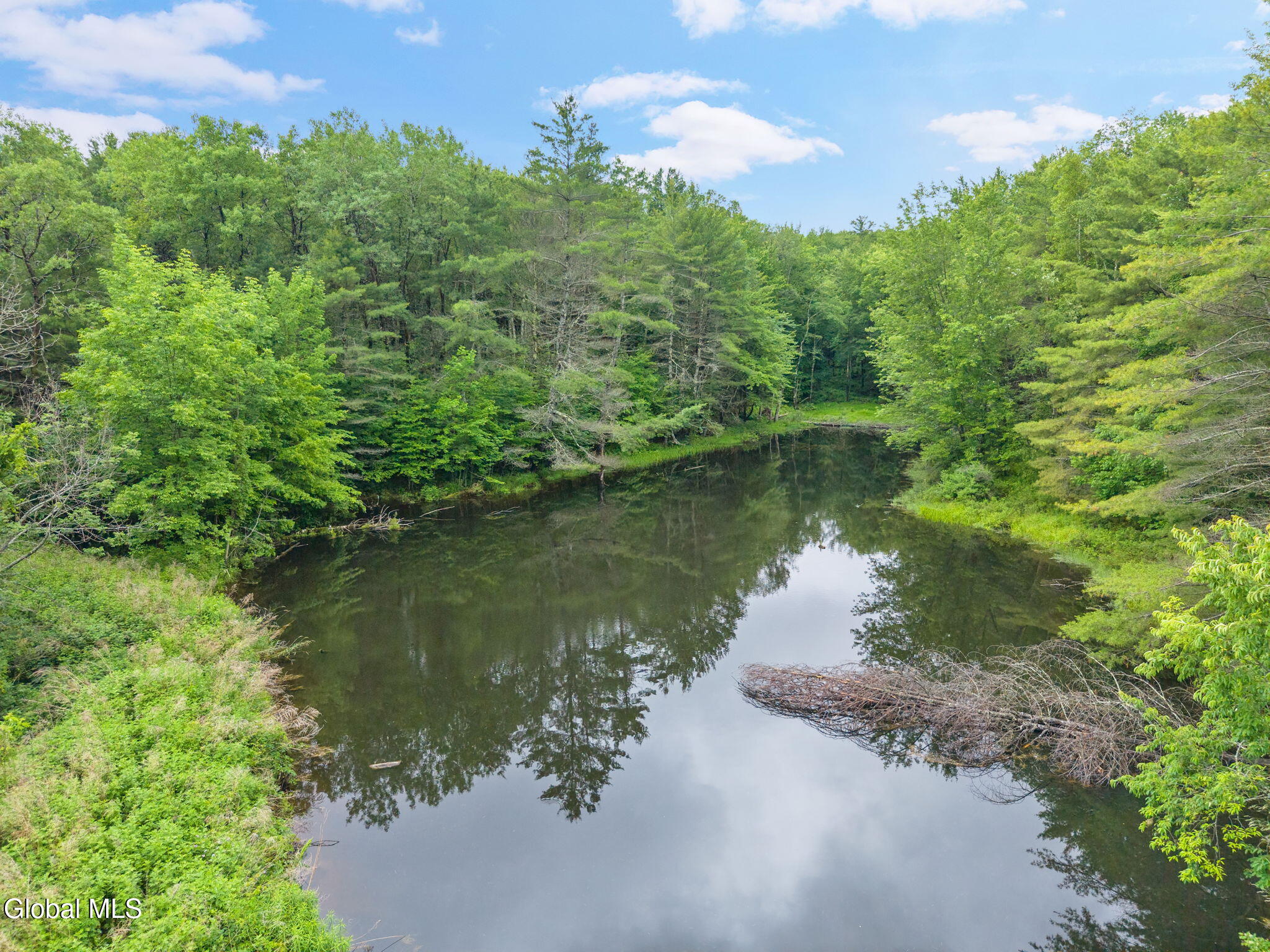 159 Ely Road Gilboa NY 12076