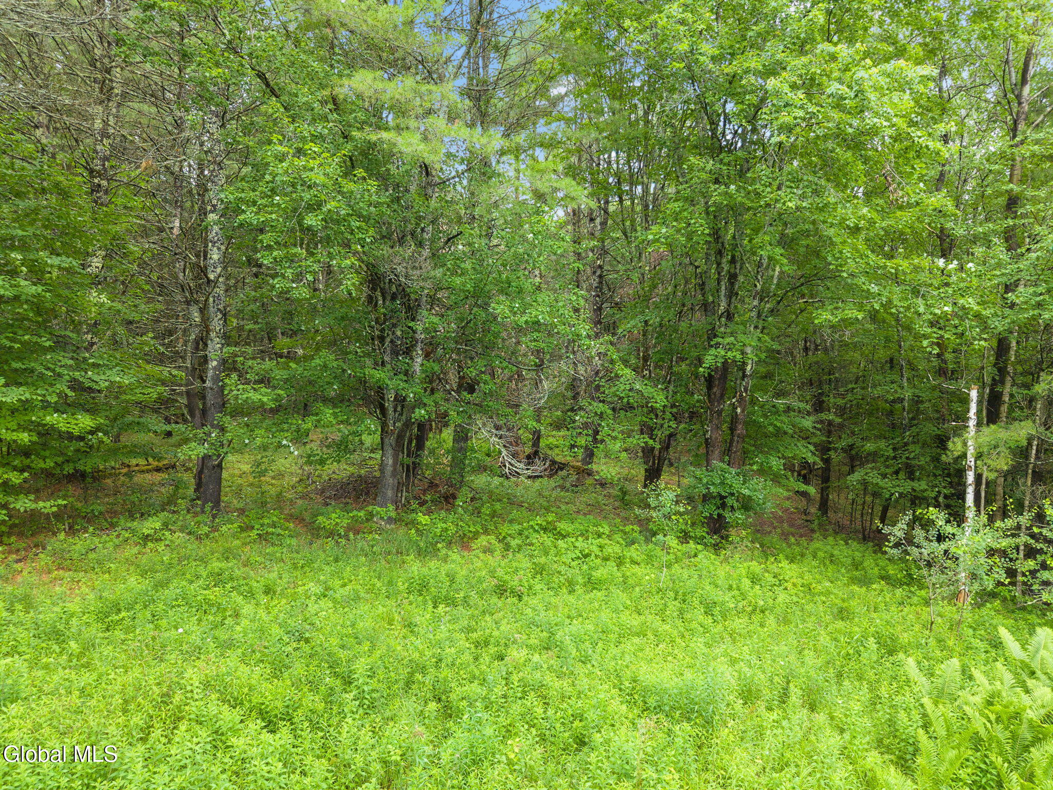 159 Ely Road Gilboa NY 12076