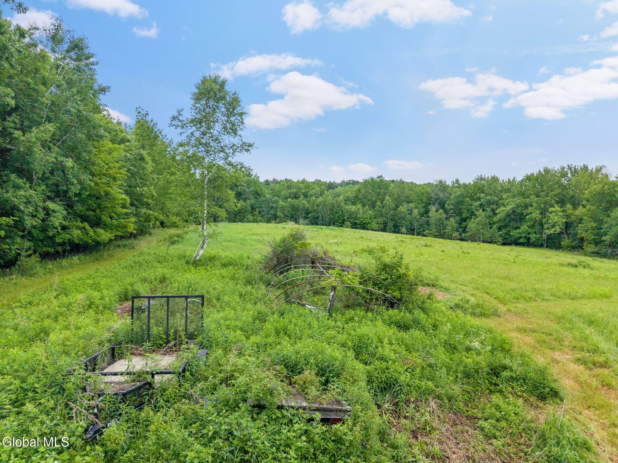 159 Ely Road Gilboa NY 12076