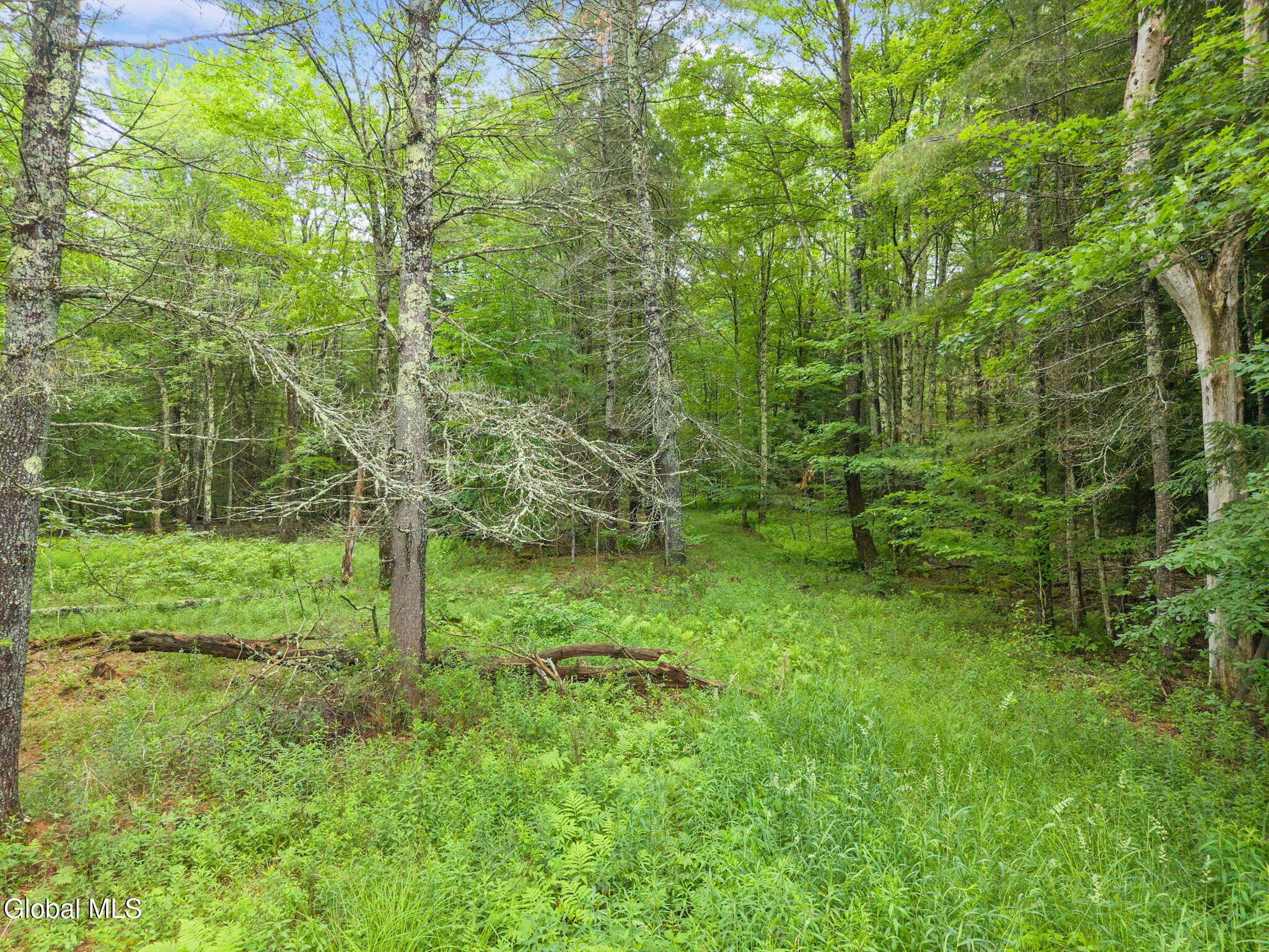 159 Ely Road Gilboa NY 12076