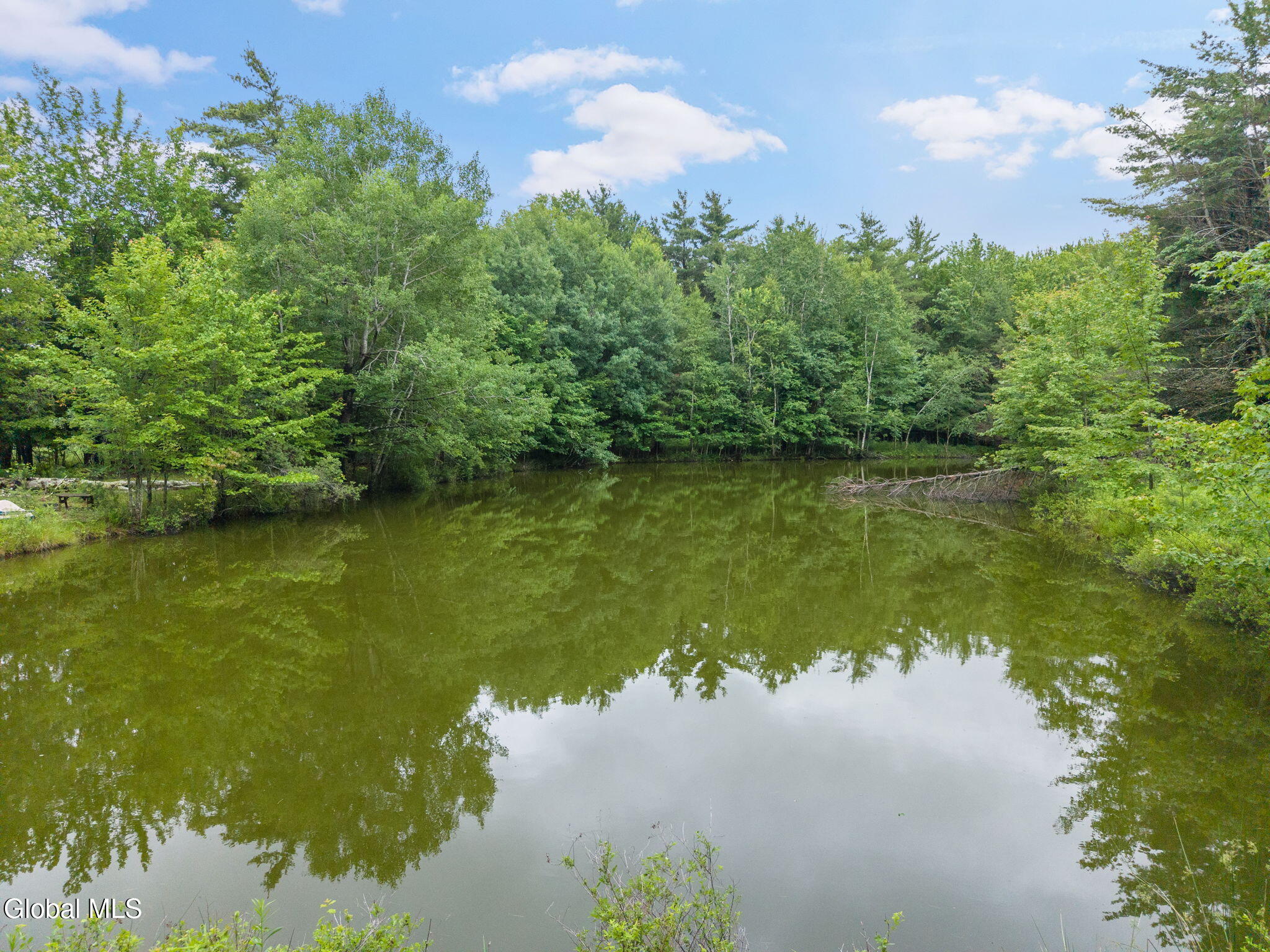159 Ely Road Gilboa NY 12076