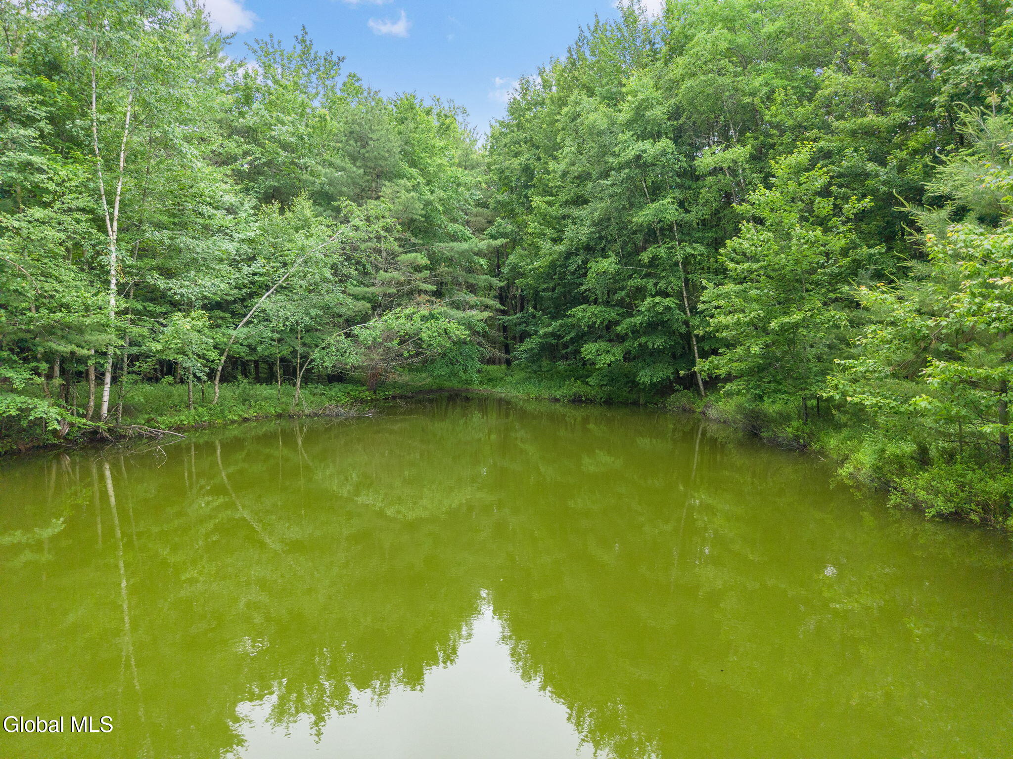 159 Ely Road Gilboa NY 12076