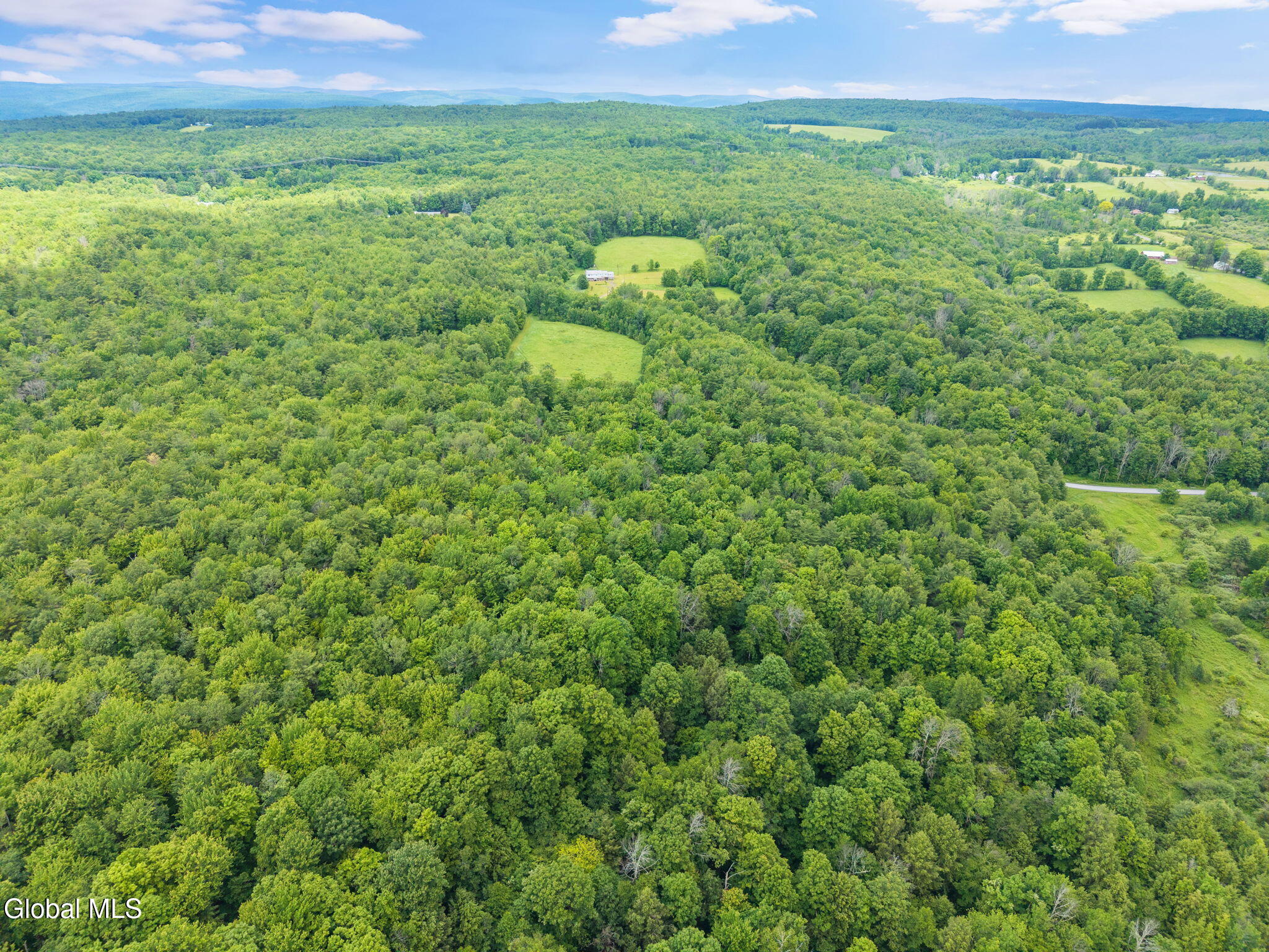 159 Ely Road Gilboa NY 12076