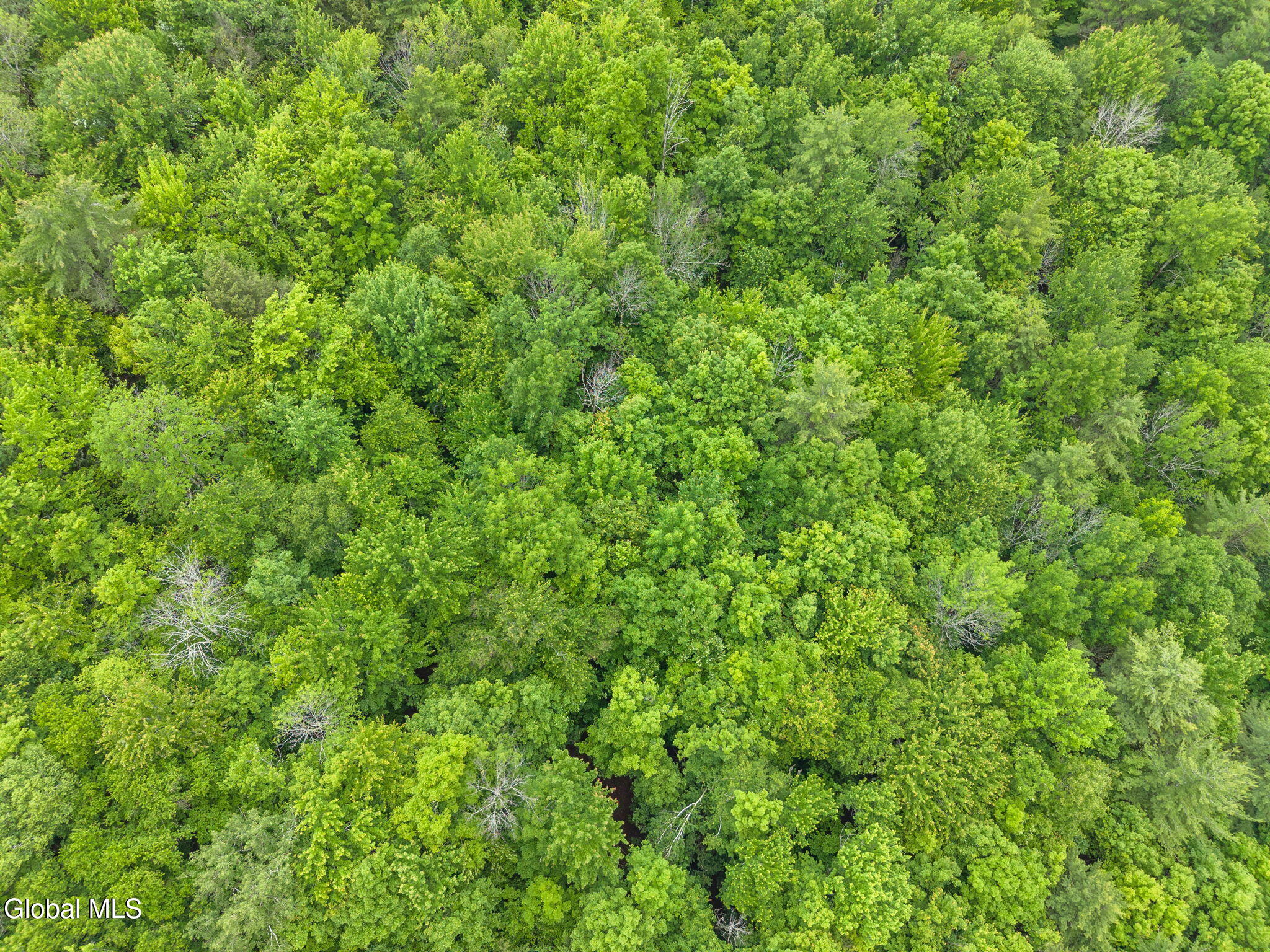 159 Ely Road Gilboa NY 12076