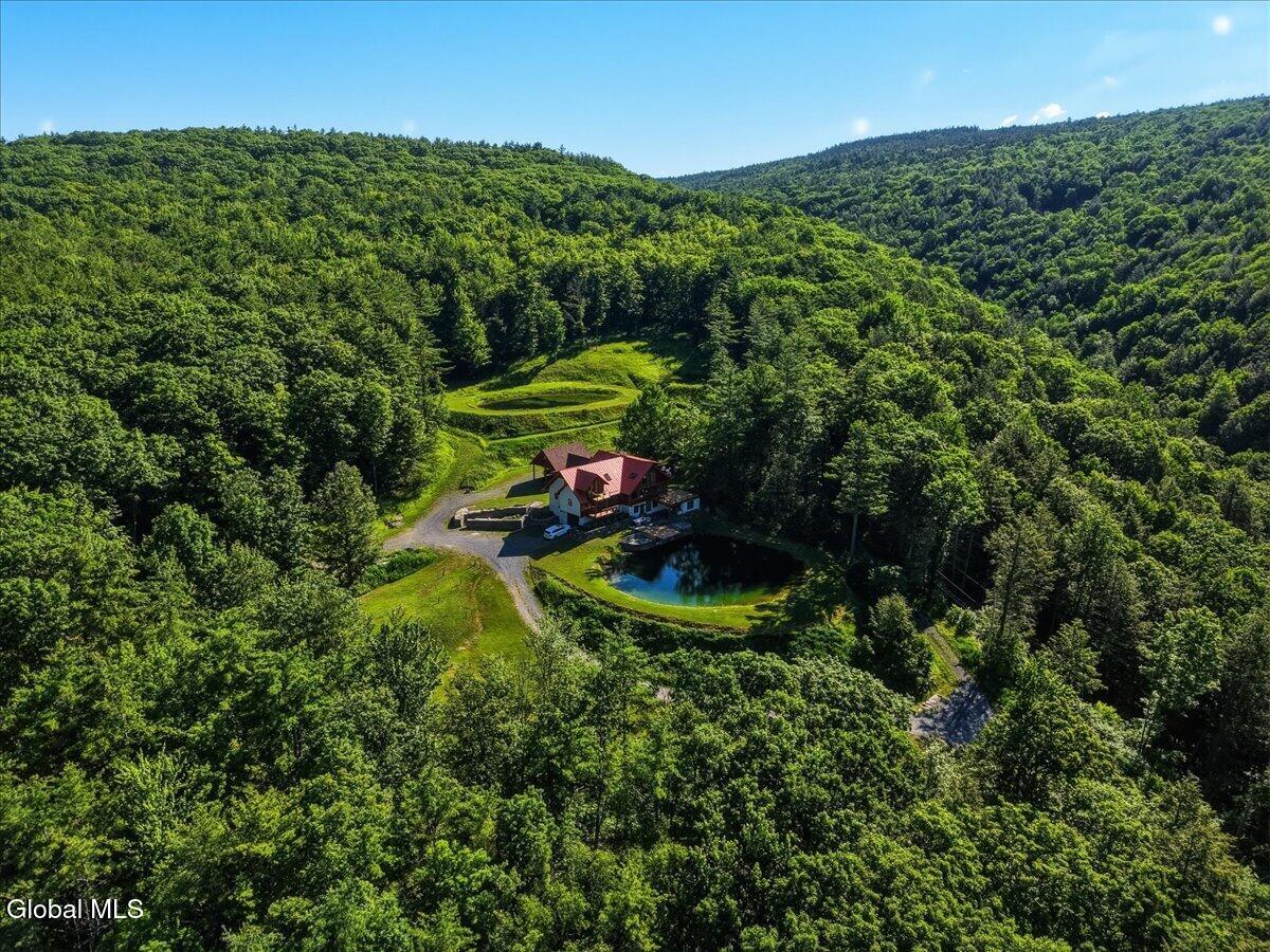 165 Vaughn Hill Road Middleburgh NY 12122
