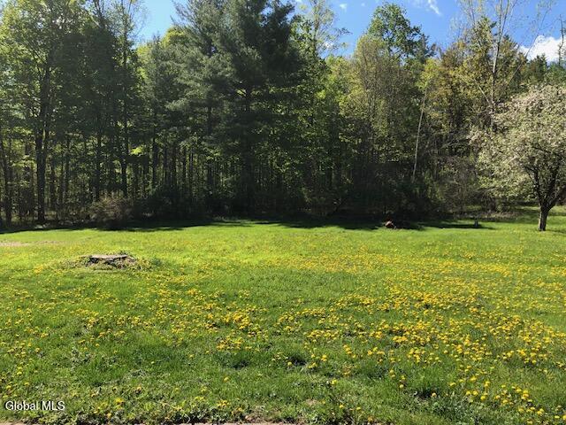 405 Bozenkill Road Altamont NY 12009