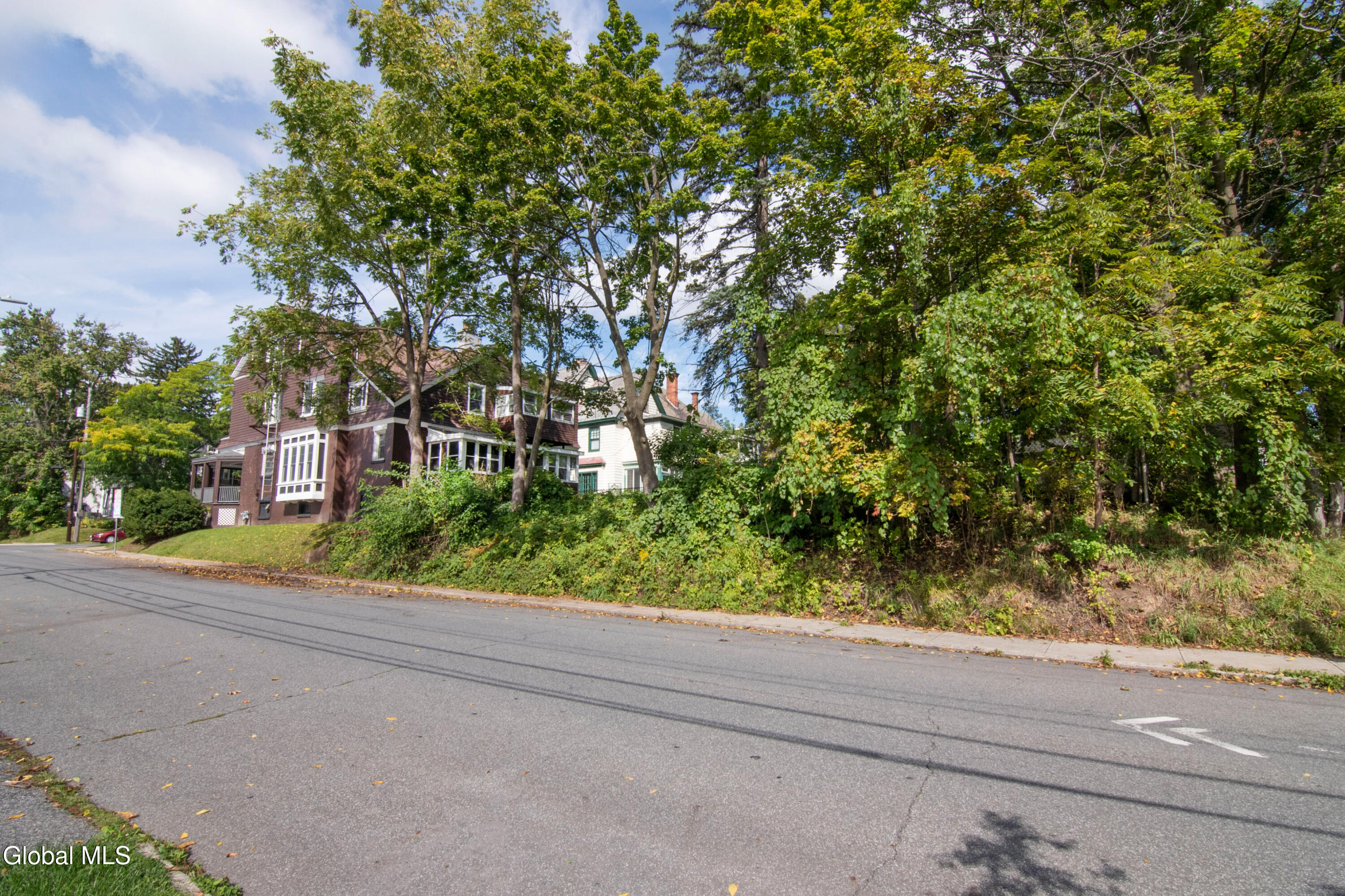 114 S Lake Avenue Albany NY 12208